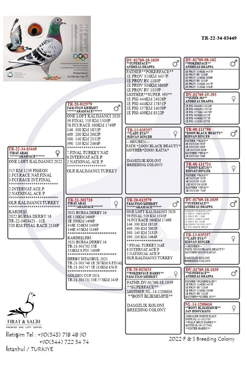 tr20-012737-d-drapa-100-pokercafe-torunu