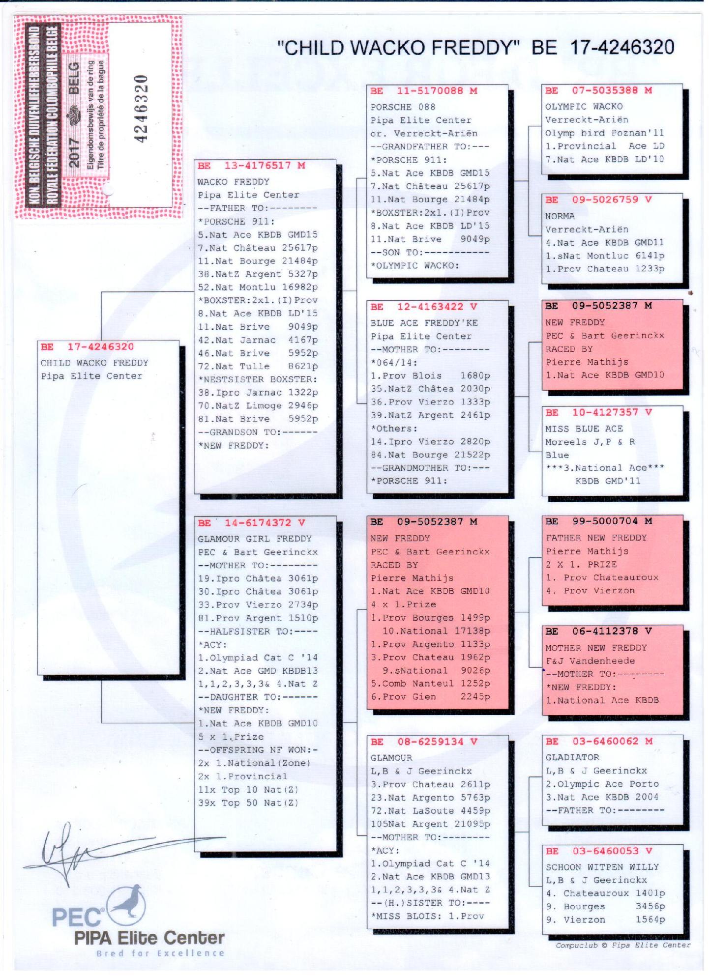 BE17-4246320 DİŞİ / BABADAN KARDEŞİ PORSCHE 911