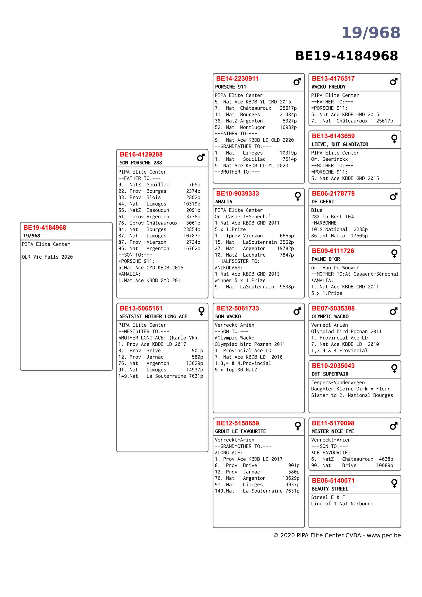 BE19-4184968 DİŞİ / PORSCHE 911 TORUNU