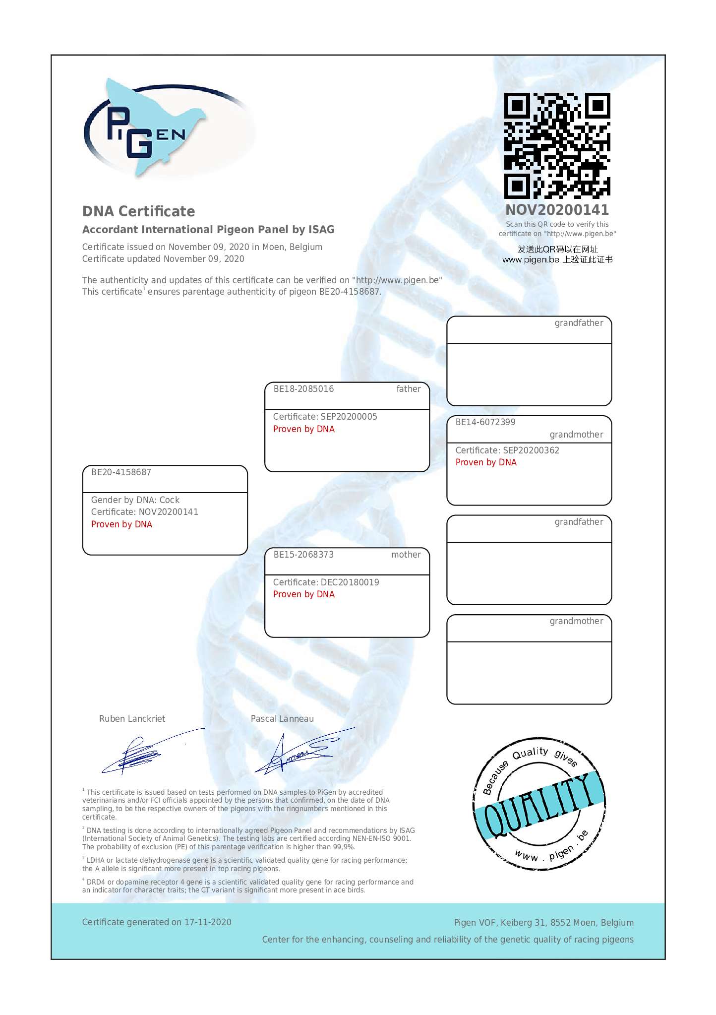 BE20-4158687 ERKEK / BABASININ TAM KARDEŞİ NEW KİM 1 NAT ACE KBDB 1.6 million euros ...