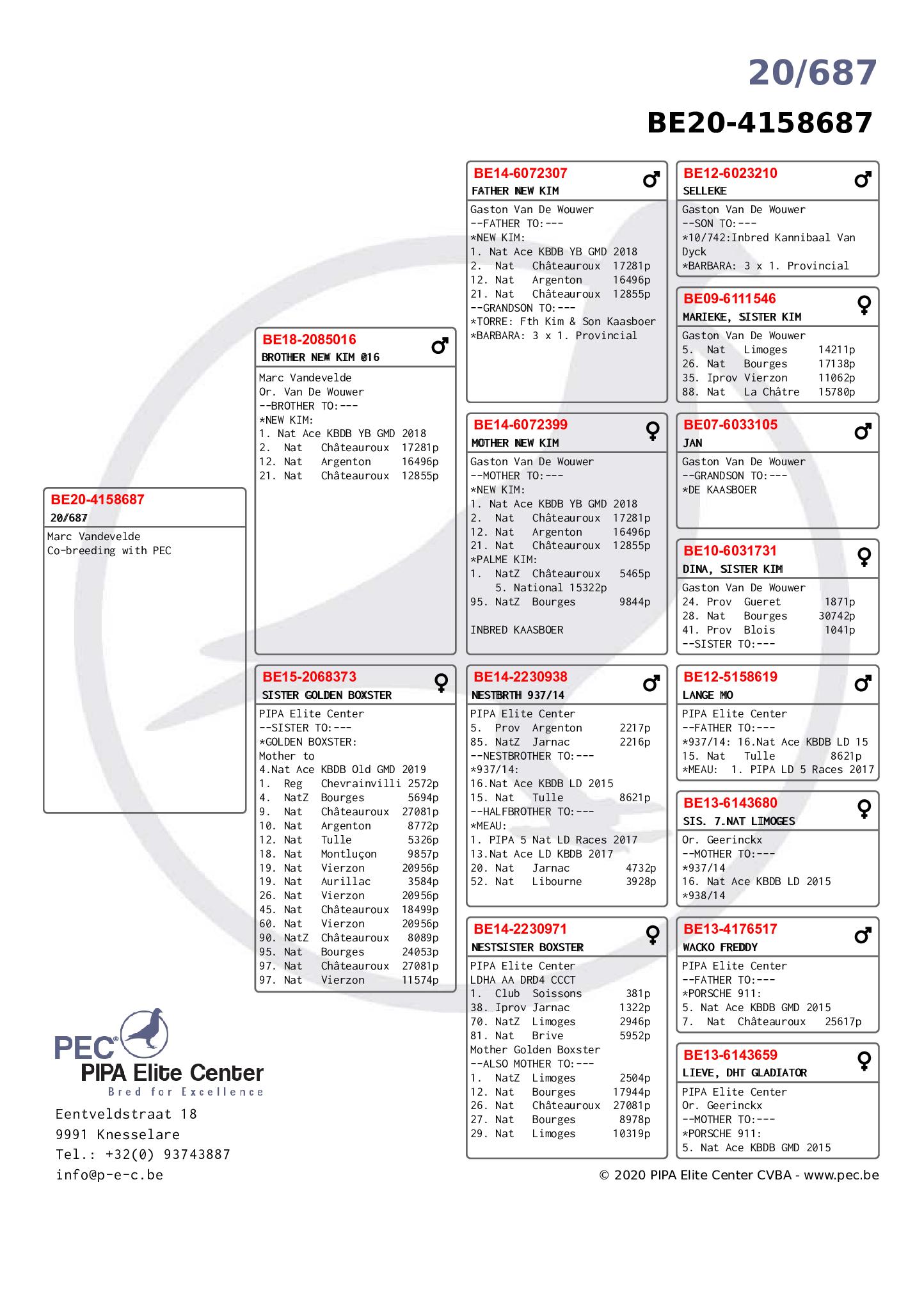 BE20-4158687 ERKEK / BABASININ TAM KARDEŞİ NEW KİM 1 NAT ACE KBDB 