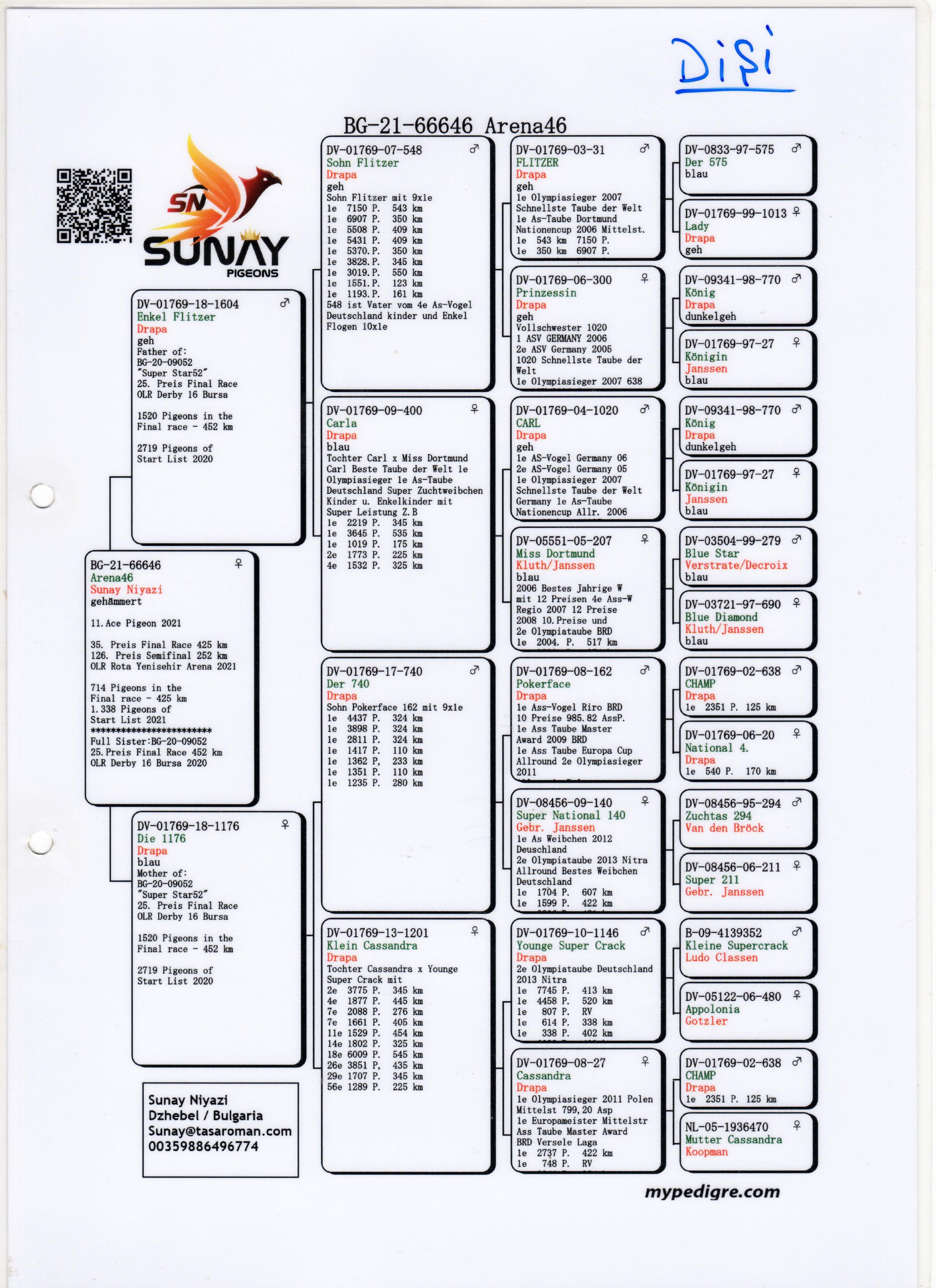 BG21-66646 DİŞİ / SUNAY NİYAZİ - KENDİSİ 11. ACE & 35. FİNAL RACE ROTA YENİŞEHİR