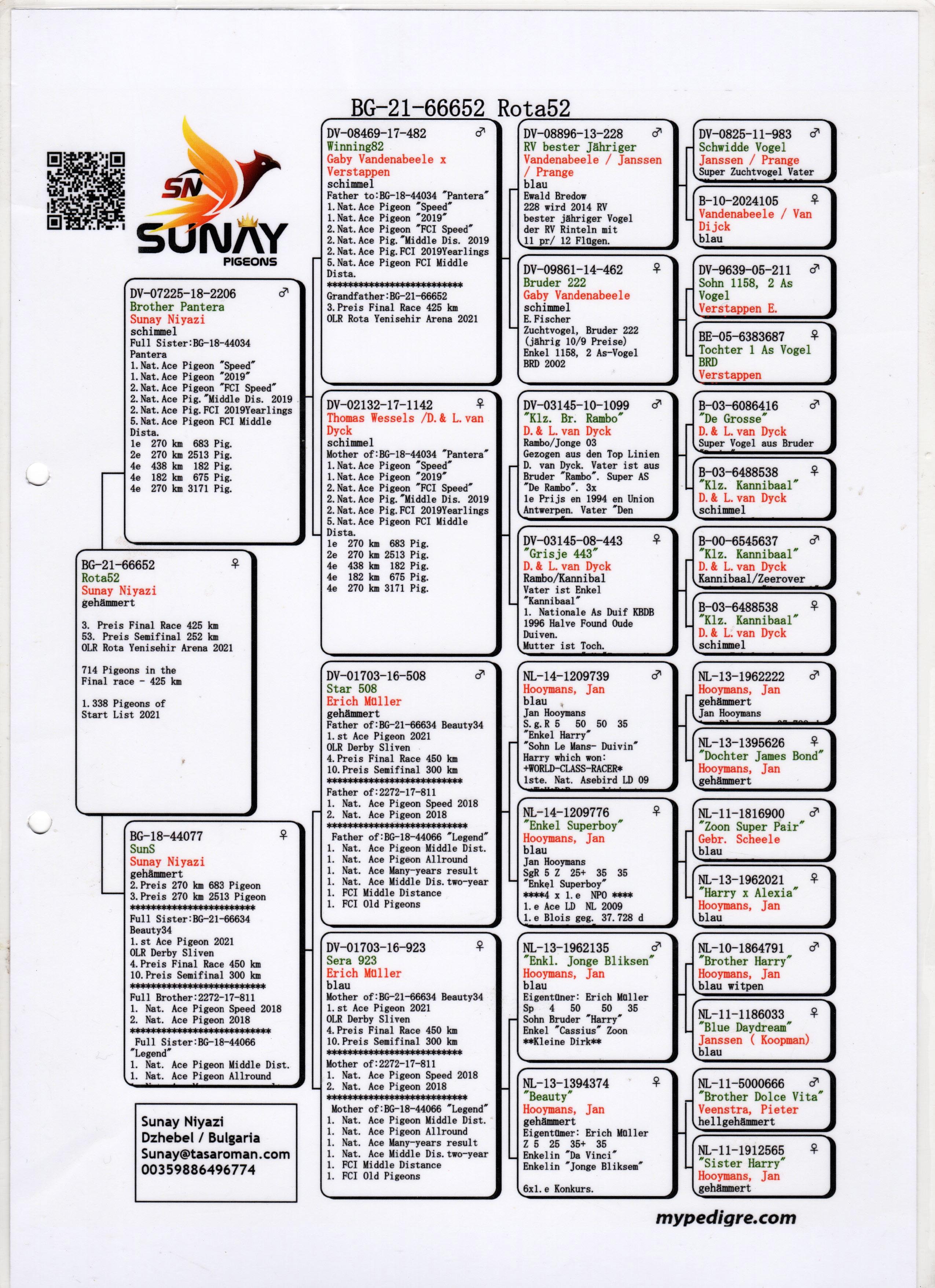 BG21-66652 DİŞİ / SUNAY NİYAZİ - 3. FİNAL 425 KM ROTA YENİŞEHİR ARENA 2021