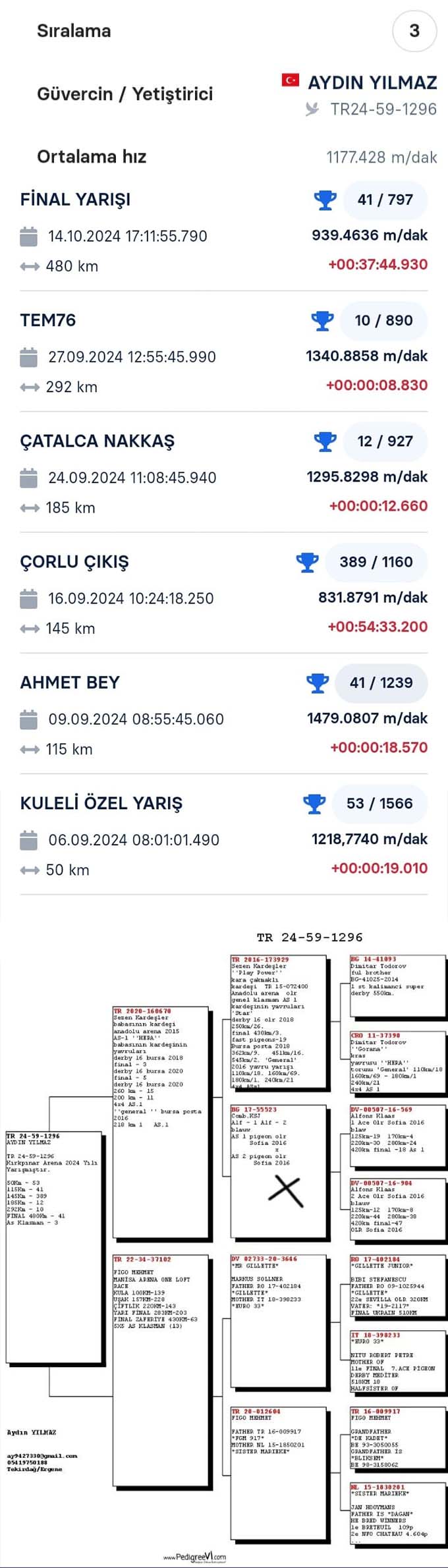 BG22-55514 ERKEK / ALFON KLAAS % 100 BABASI AS 1 ANNESİ AS 2 SOFİA OLR 