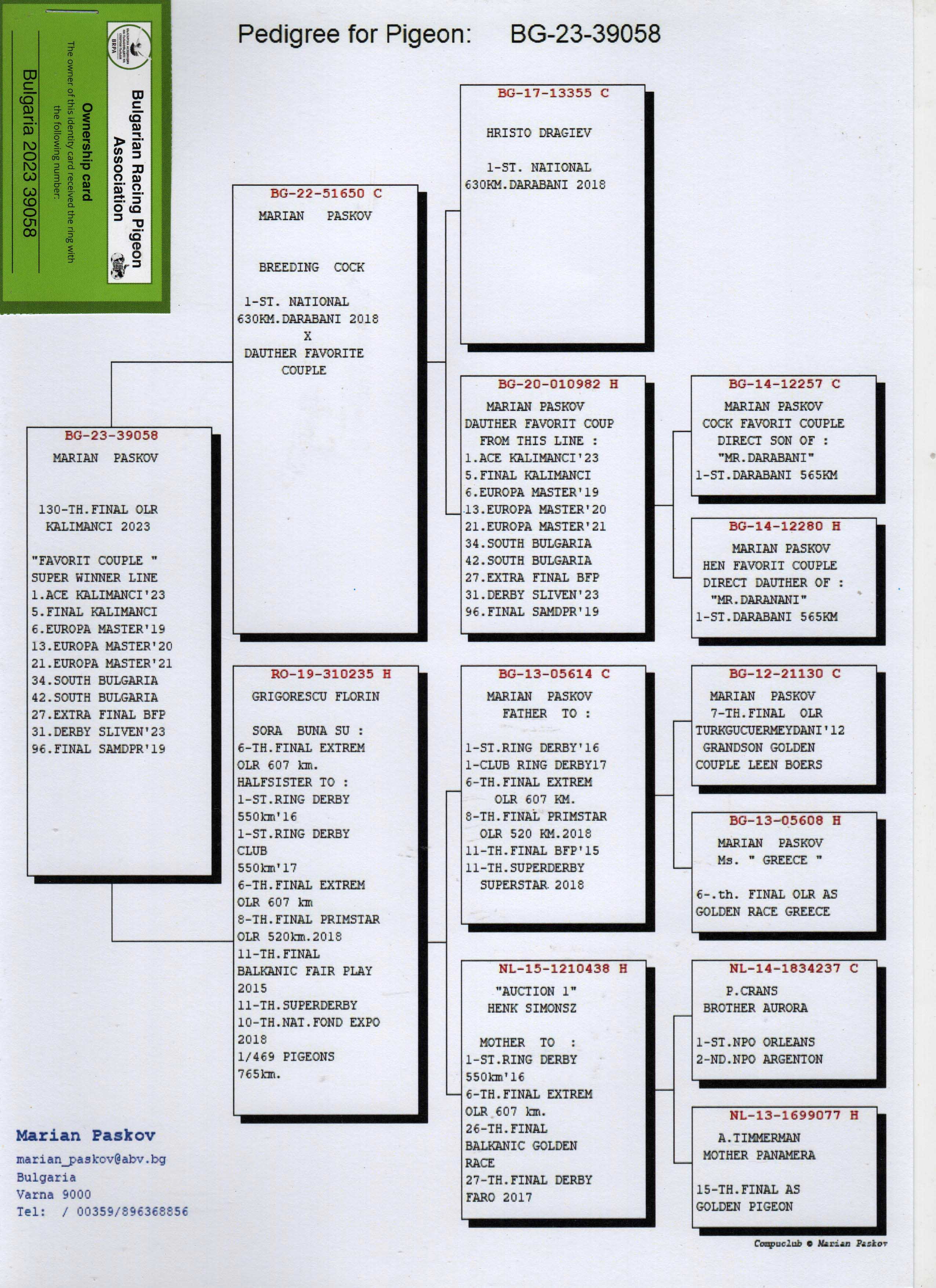 BG23-39058 DİŞİ / MARİAN PASKOV KENDİSİ 130. FİNAL KALİMANCİ 2023