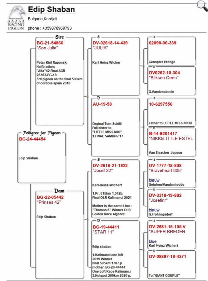 BG24-44454 DİŞİ  / JULIA TORUNU ANNESİ FİNAL 1 KALIMANCI X 1. FİNAL KALIMANCI