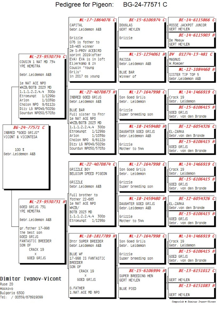 BG24-77571 ERKEK / GEBR LEIDEMAN % 100 ( GOED GRIJS )