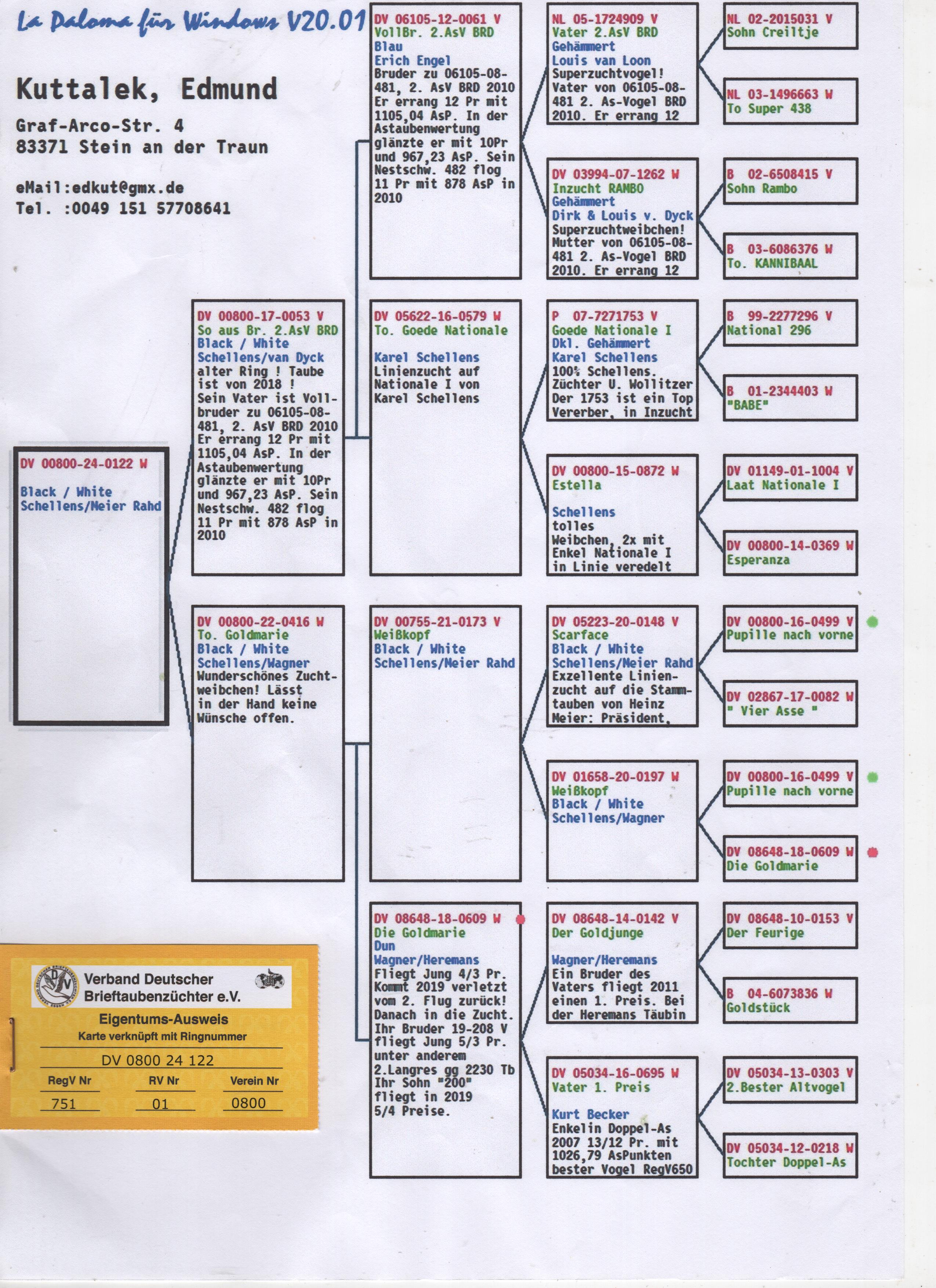 DV00800-24-0122 DİŞİ / SCHELLENS MEİER