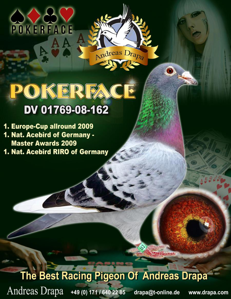 DV01769-24-618 DİŞİ / ORJ DRAPA - POKERFACE TORUNU INBREED POKERFACE