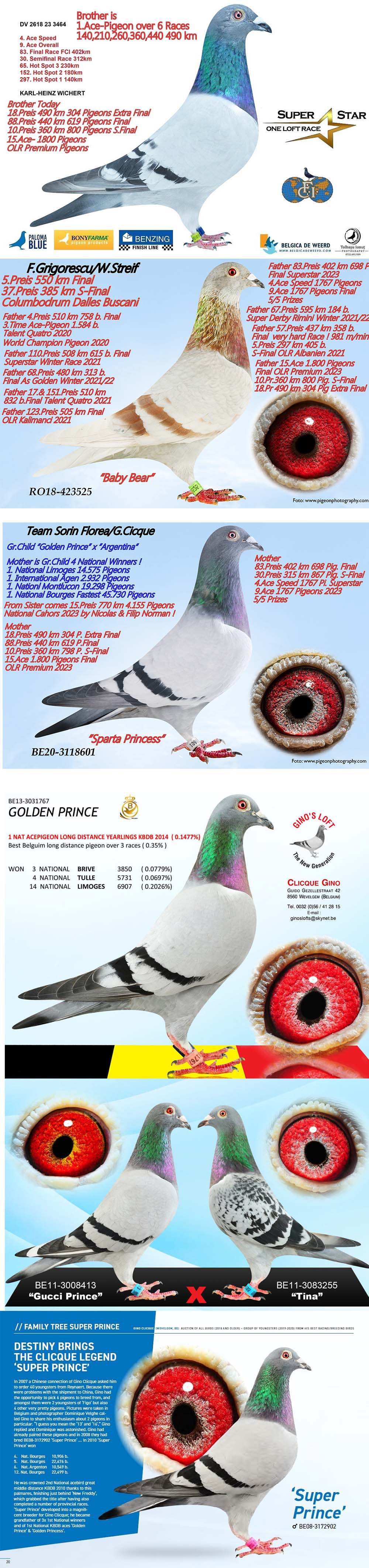 DV02628-23-3463 ERKEK / KARDESİ 1. ACE PIGEON 6 Race