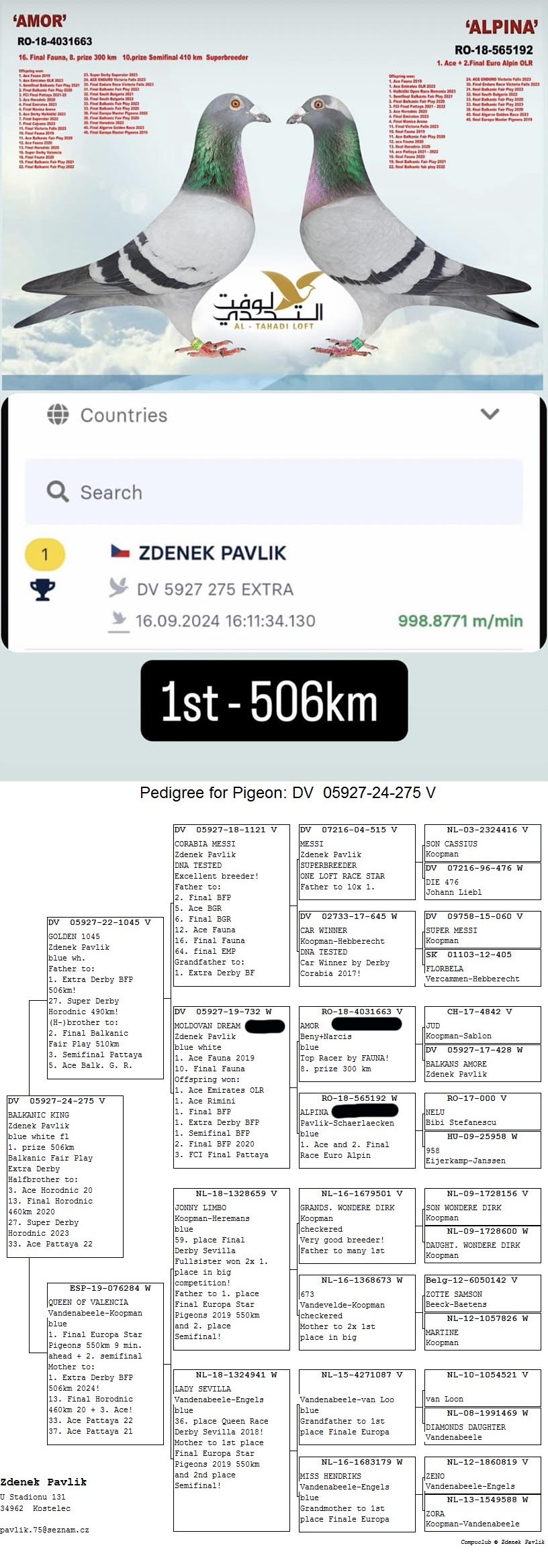 DV05927-22-1225 ERKEK / BROTHER OF 1. ACE FAUNA 2019  - 10. FİNAL FAUNA 2019 KARDEŞİNİN TORUNU 1. EXTRA FİNAL BALKANİC FAİR PLAY 2024