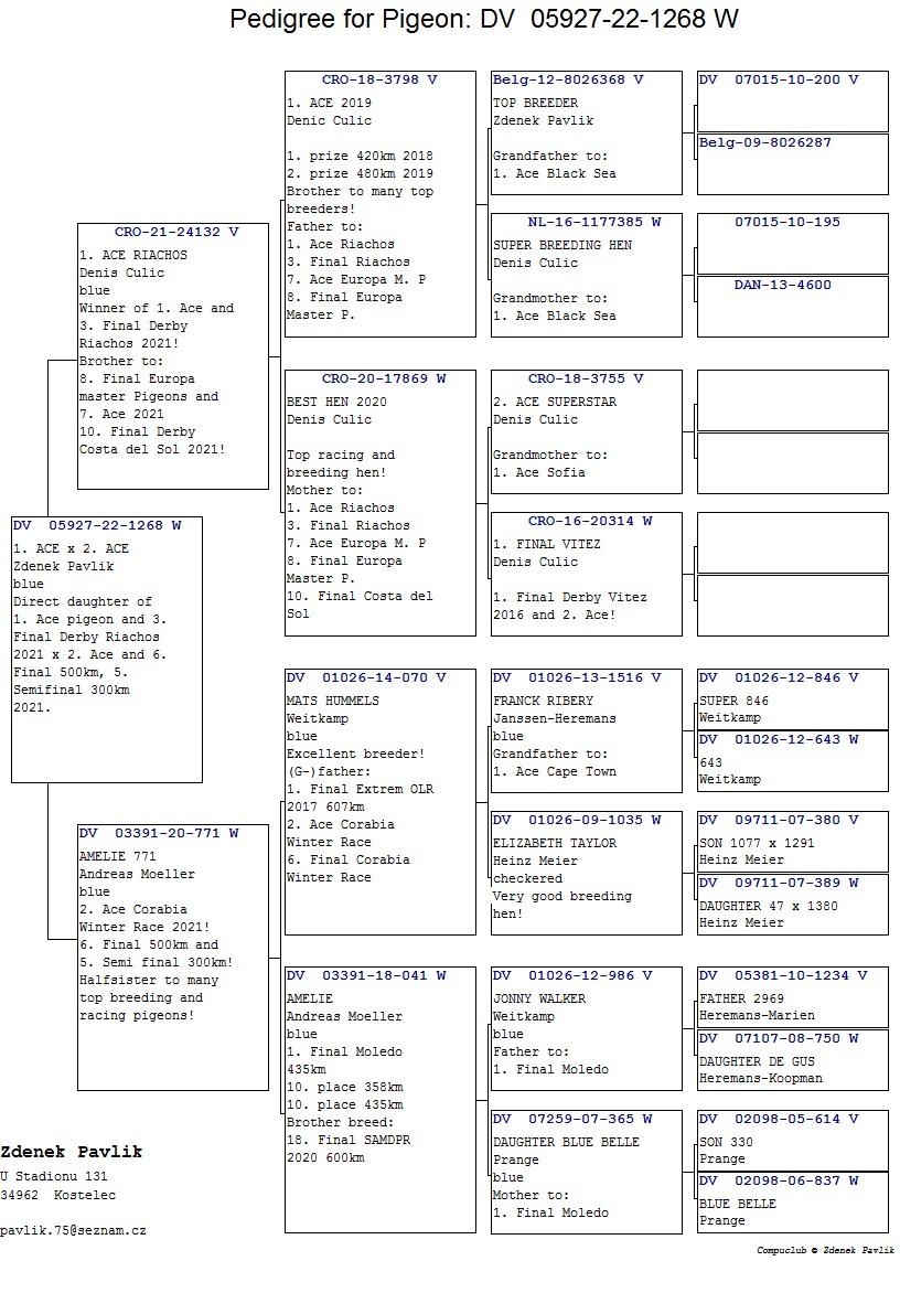 DV05927-22-1268 DİŞİ / ZDENEK PAVLİK BABASI 1 ACE PIGEON ANNESİ 2. ACE PİGEON 