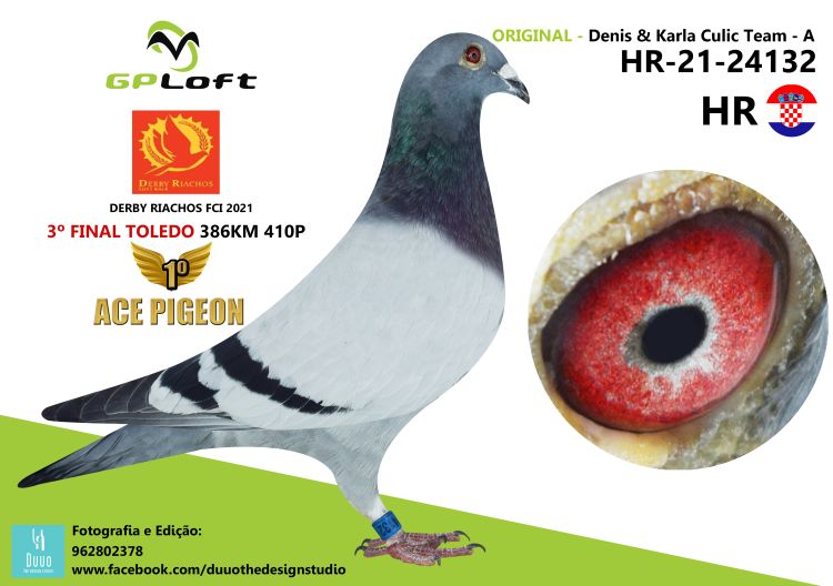 DV05927-22-1268 DİŞİ / ZDENEK PAVLİK BABASI 1 ACE PIGEON ANNESİ 2. ACE PİGEON 