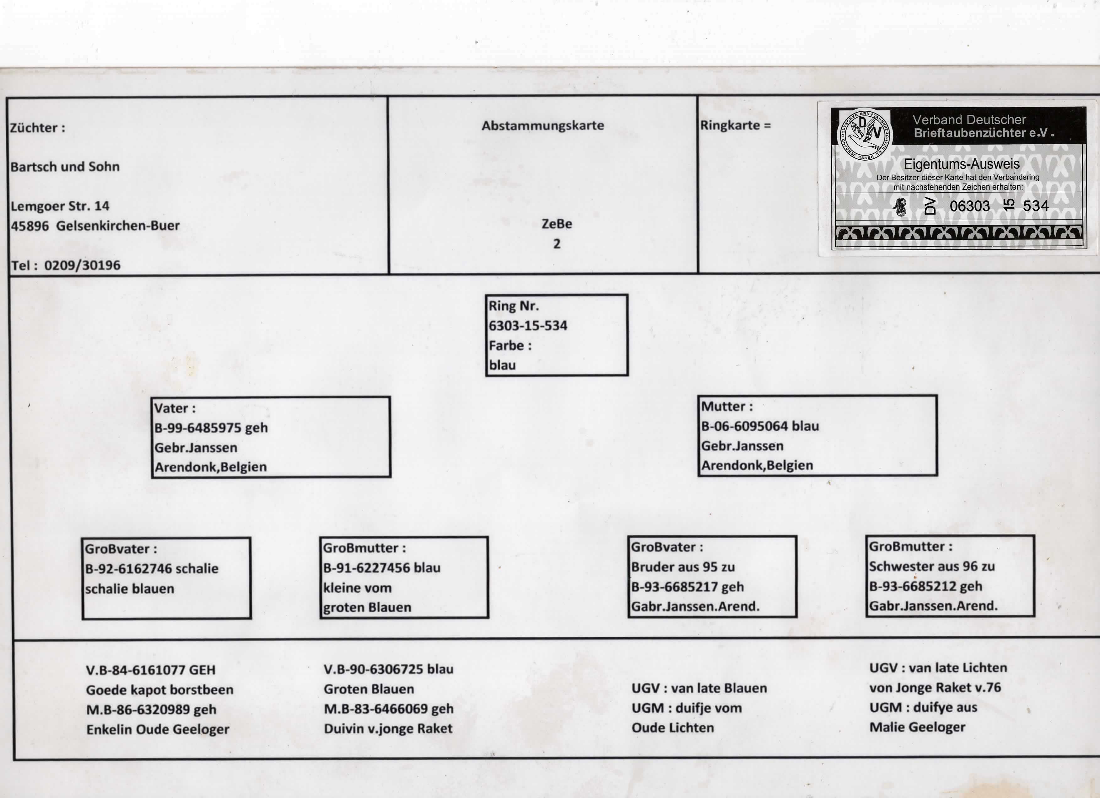 DV06303-15-534 ERKEK / GEBR. JASSEN % 100 SUPER BREEDER !!!