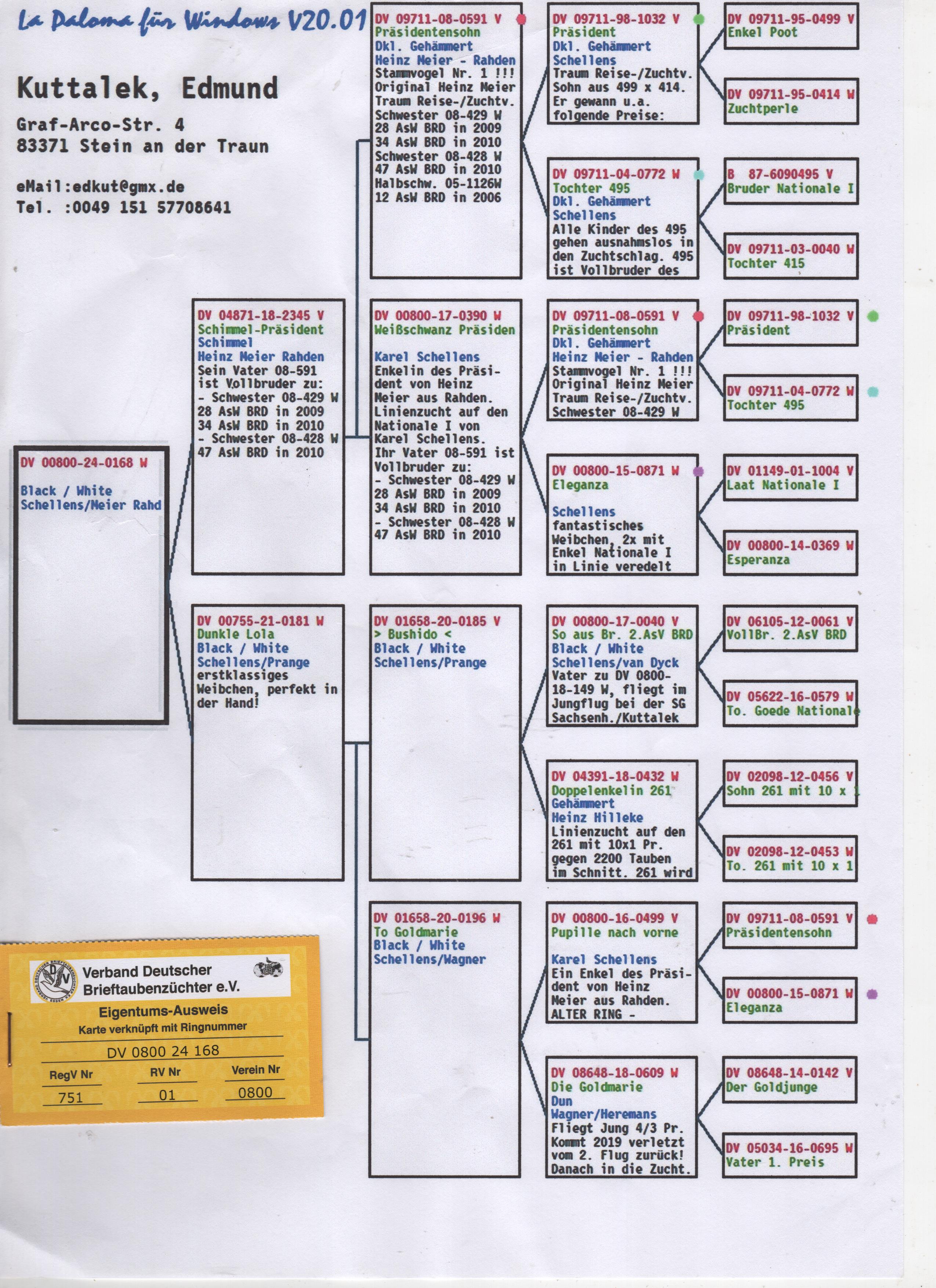 DV0800-24-0168 DİŞİ / SCHELLENS / MEİER RAHDEN 