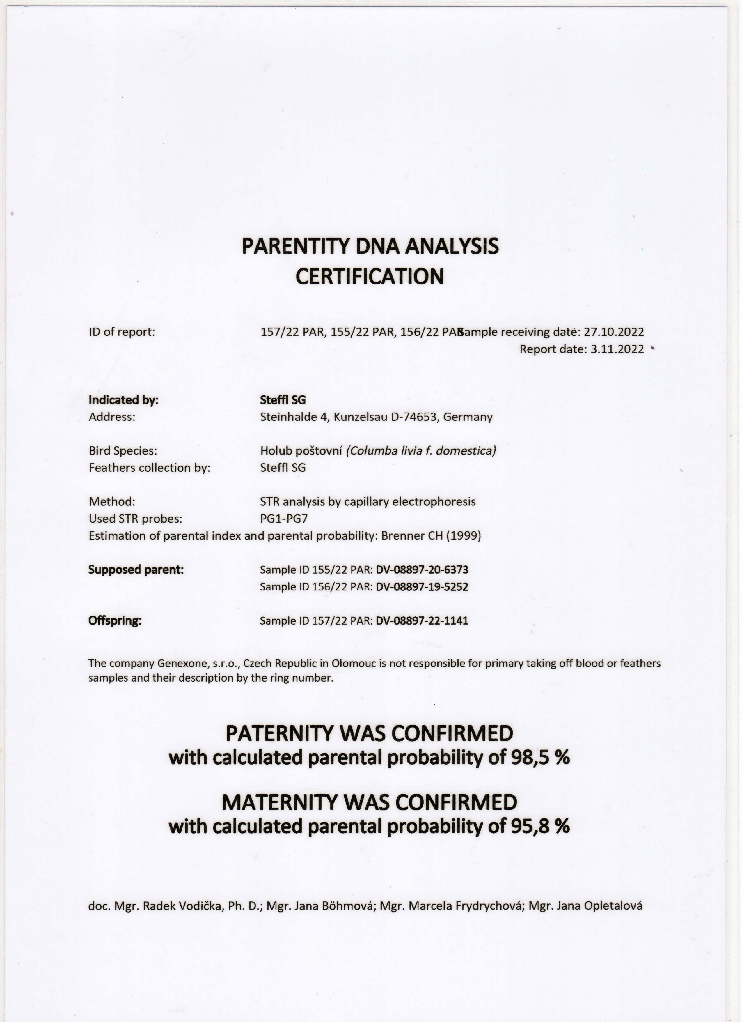 DV08897-22-1141 DİŞİ / INBREED GIANT PAIR - DNA TESTLİ 