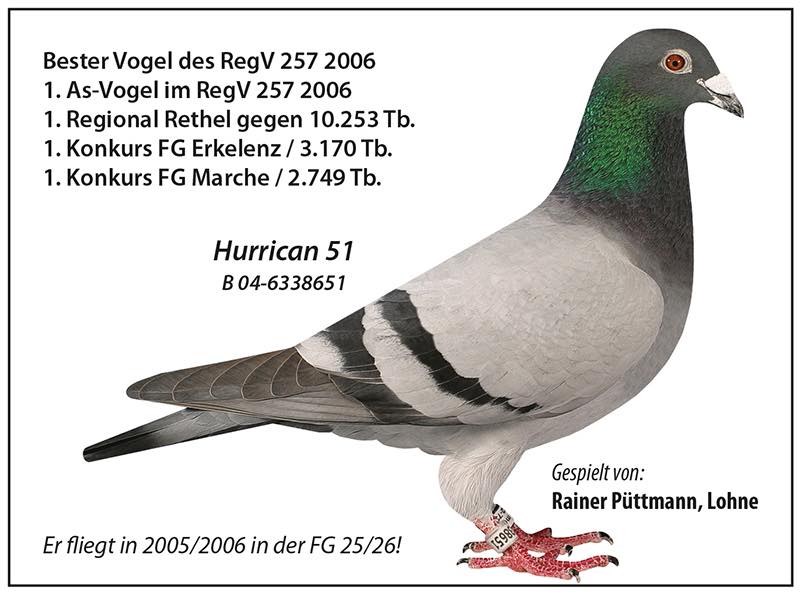 DV09565-21-1086 DİŞİ / BABASI HURRICAN 51 X TO FIENEKE TORUNU ANNESİ 