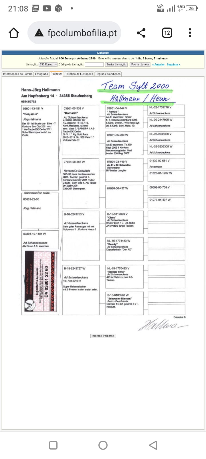 DV5057-23-0215 ERKEK / JORG HALLMANN % 100 INBREED ROMARIO !!!