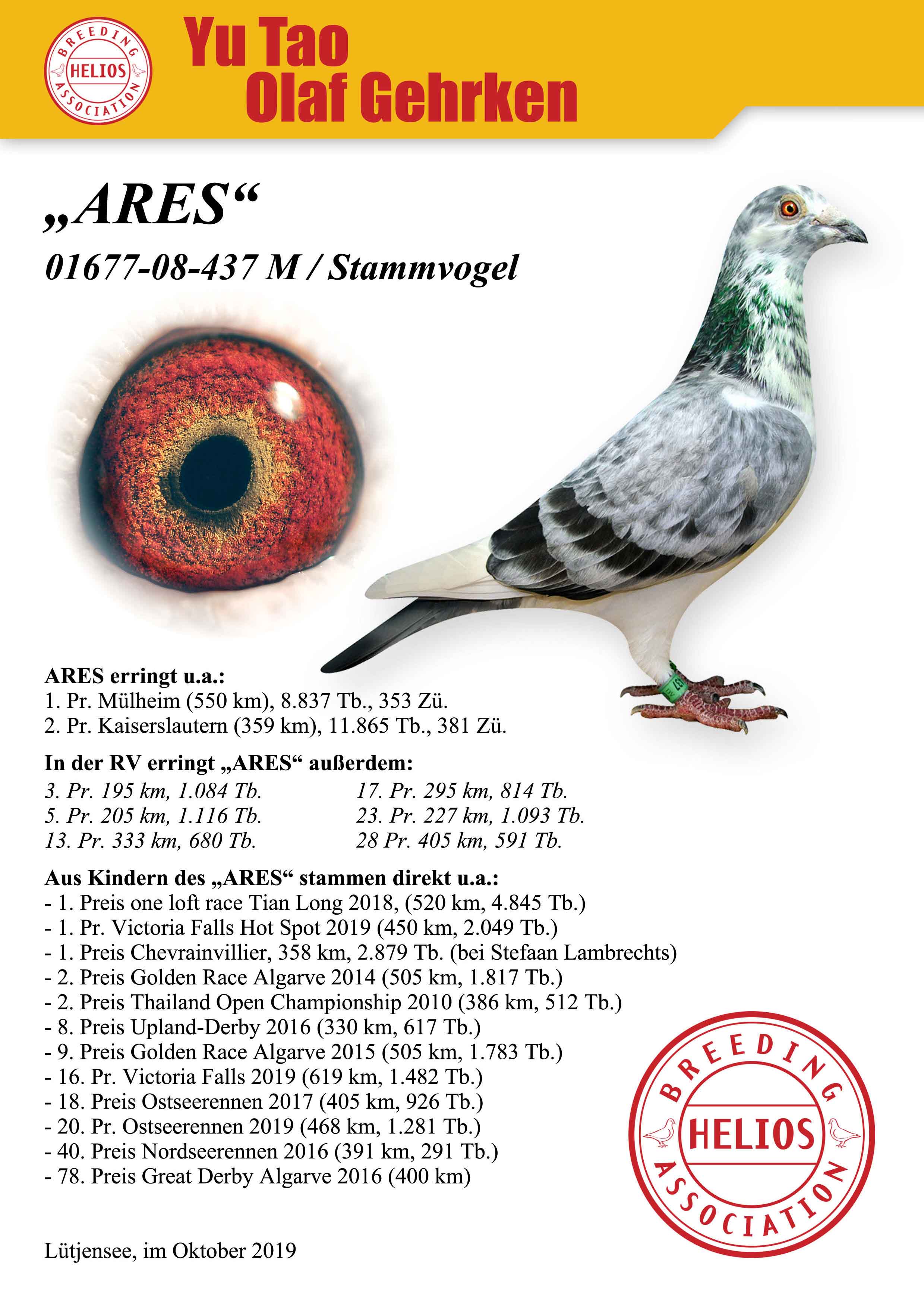 DV7348-22-252 ERKEK / INBREED ARES SUPER BREEDER 