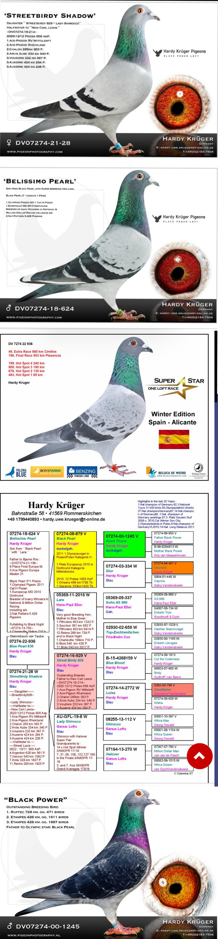 DV9034-24-826 DİŞİ / HARDY KRUGER