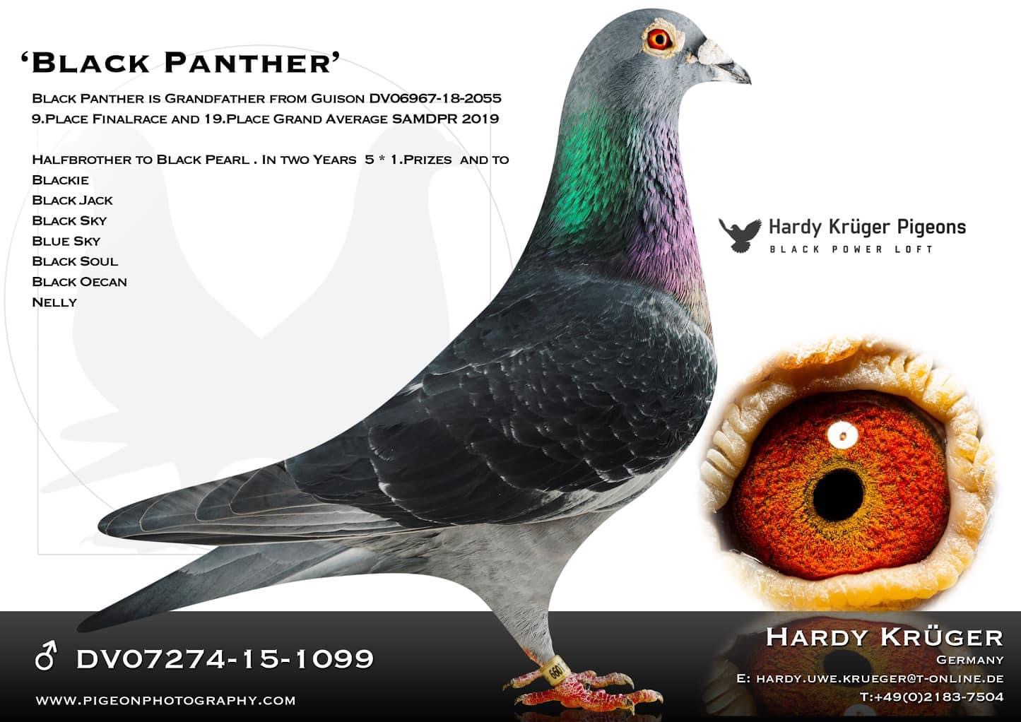 DV9034-24-891 ERKEK / HARDY KRUGER % 100