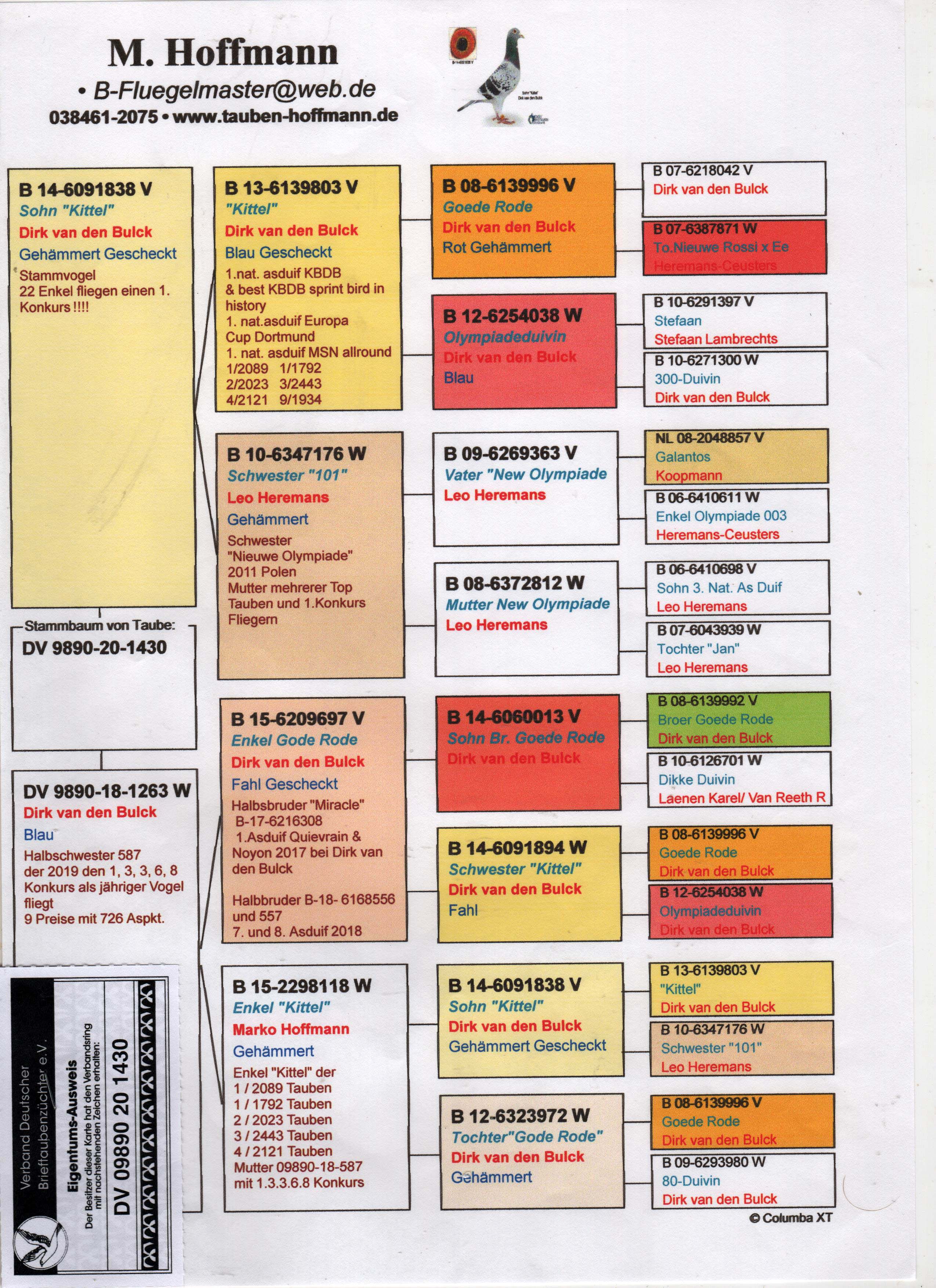 DV9890-20-1430 DİŞİ / KITTEL TORUNU 