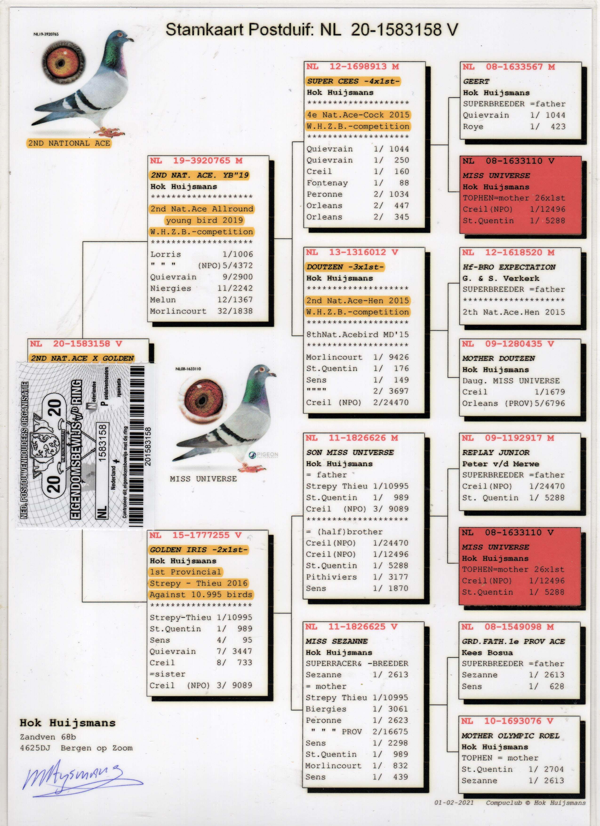 NL20-1583158 DİŞİ / HOK HUİJSMANS - DNA CERTİFİKALI