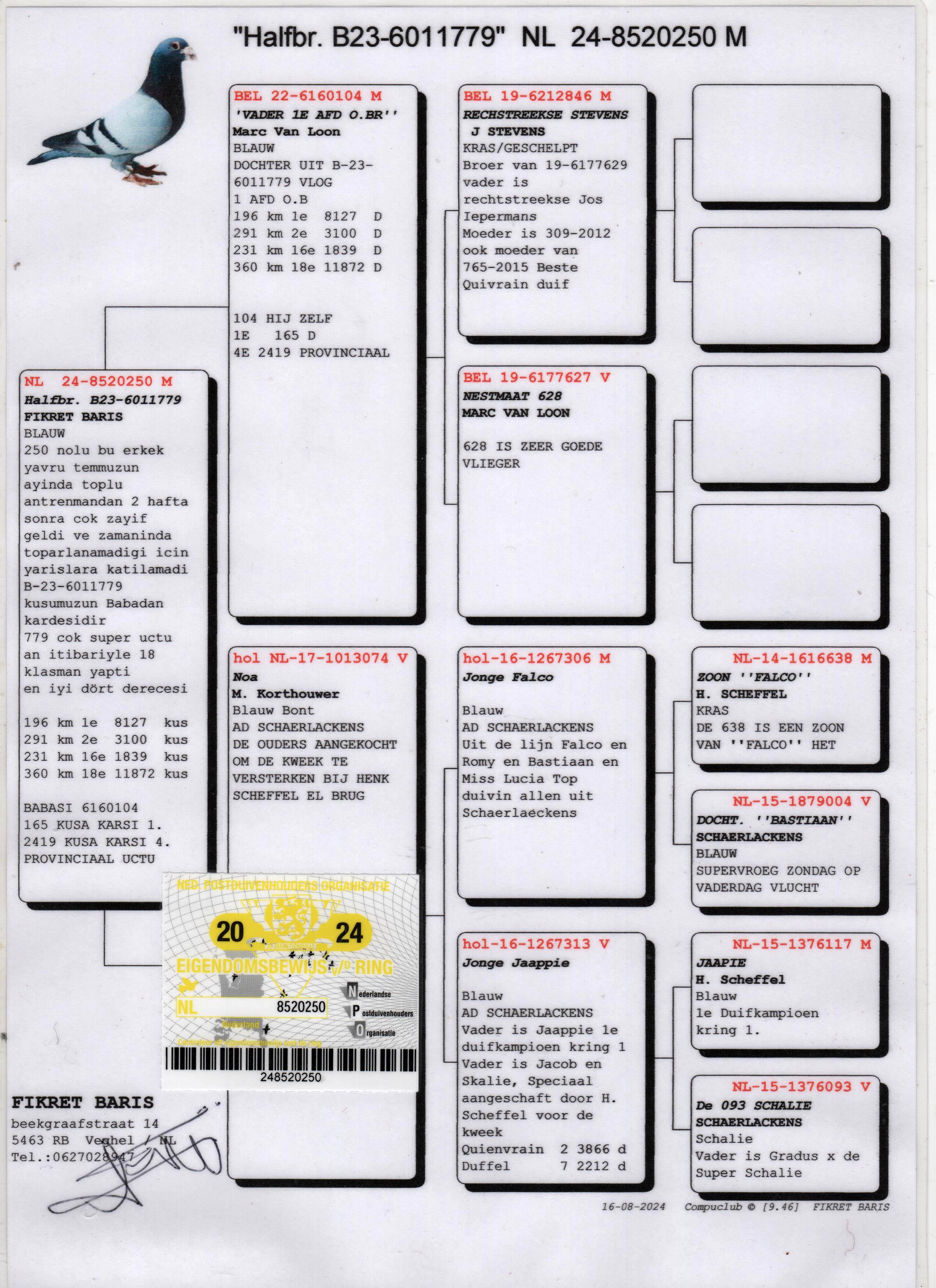 NL24-5820250 ERKEK / BABADAN KARDEŞİ 23-6011779