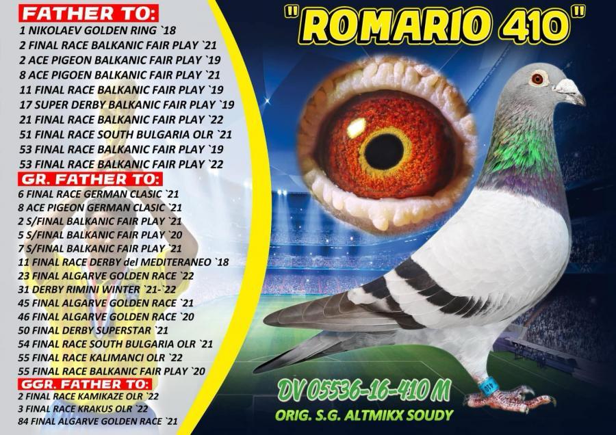 RO23-0417116 DİŞİ / BABASI KING ROMARIO ANNESİ ROMA - INBREED ROMARIO