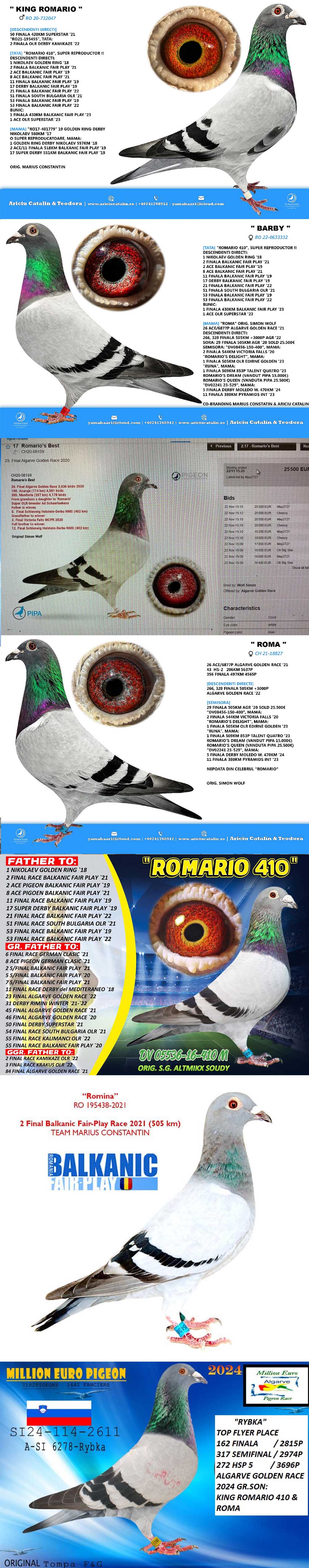 RO24-0507312 DİŞİ / DOUBLE ROMARIO 410