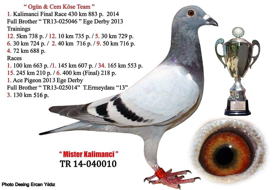 TR16-107211 ERKEK / KENDİSİ 2. VITES KLASMAN  - &  5.  300 KM