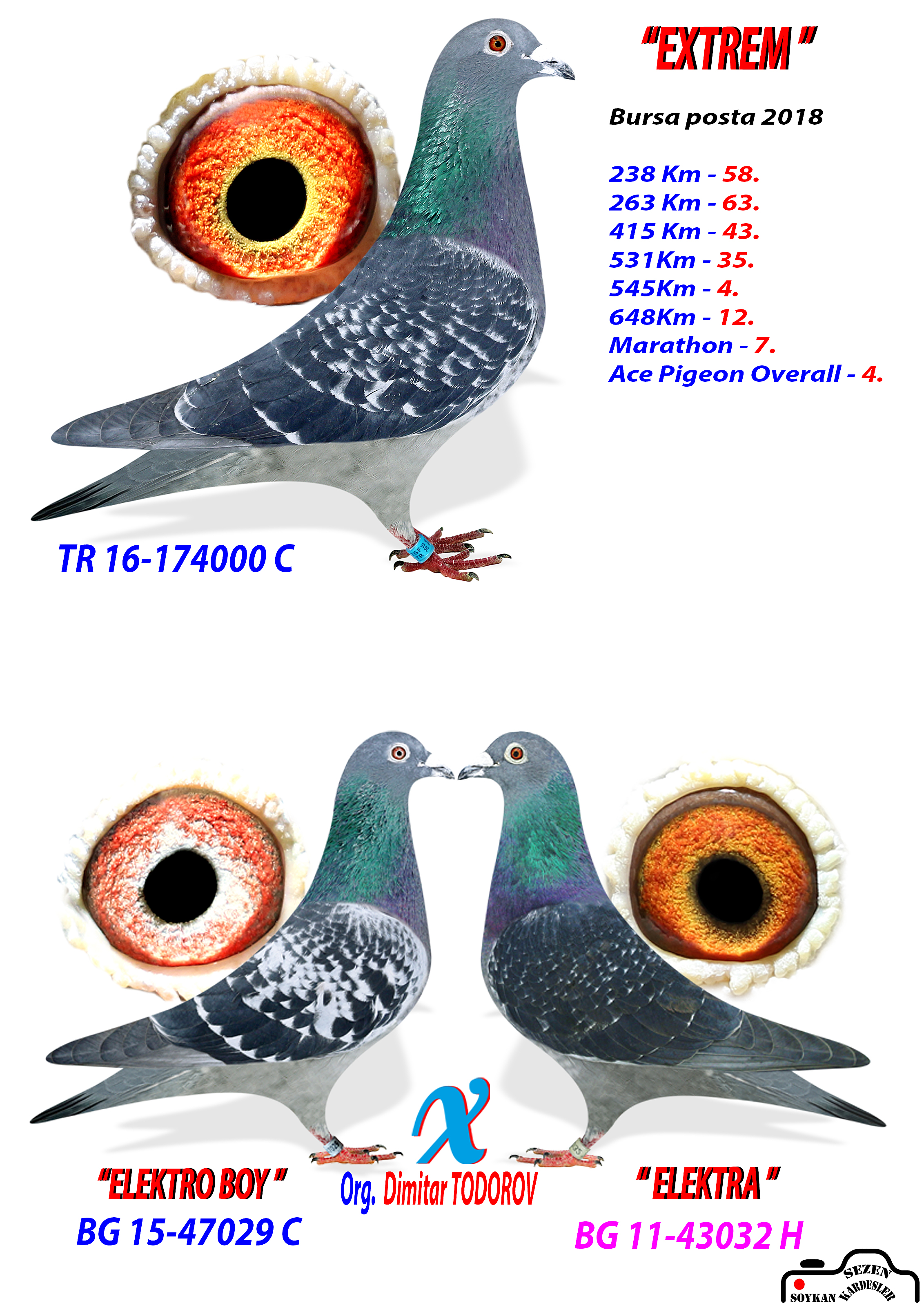 TR16-174000 ERKEK / KENDİSİ MARATON KLASMAN 7 - GENEL AS 4