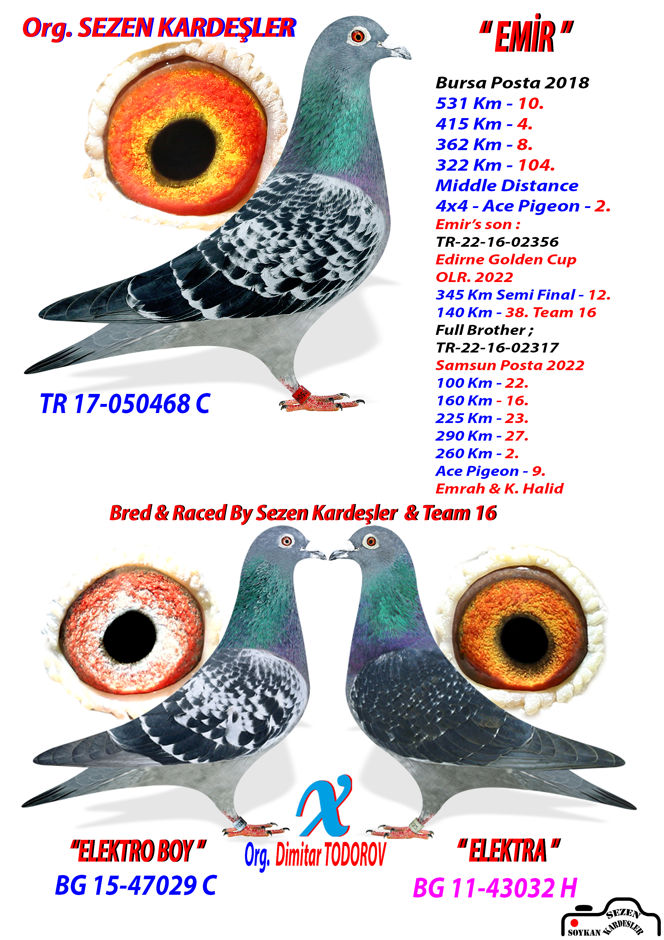 TR17-050468 ERKEK / KENDİSİ 2. AS KLASMAN KARDEŞİ VİTES KLASMAN 1