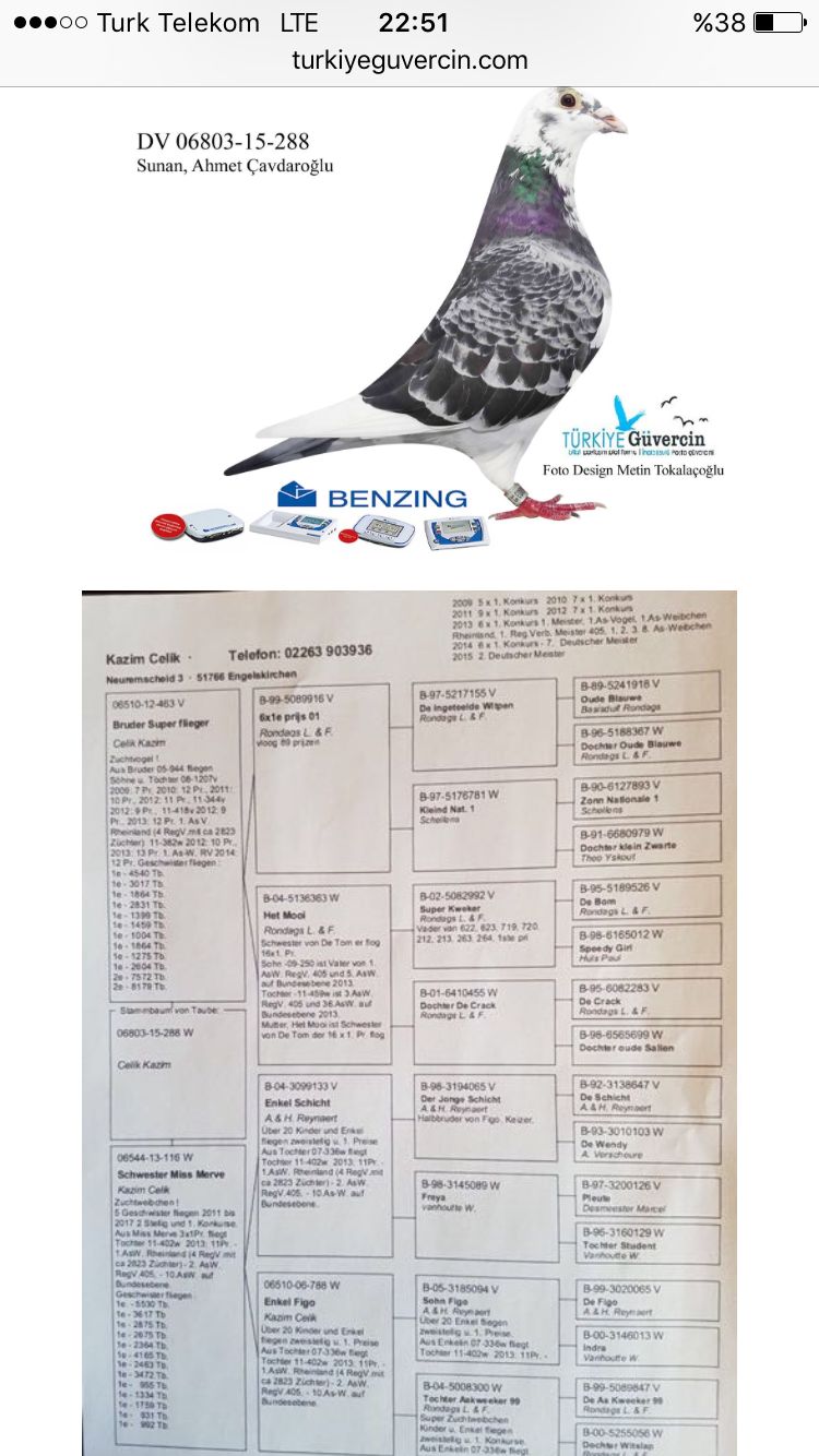 TR17-099805 ERKEK / 14 FİNAL 450 KM MANİSA ARENA KUZENİ KILIÇ