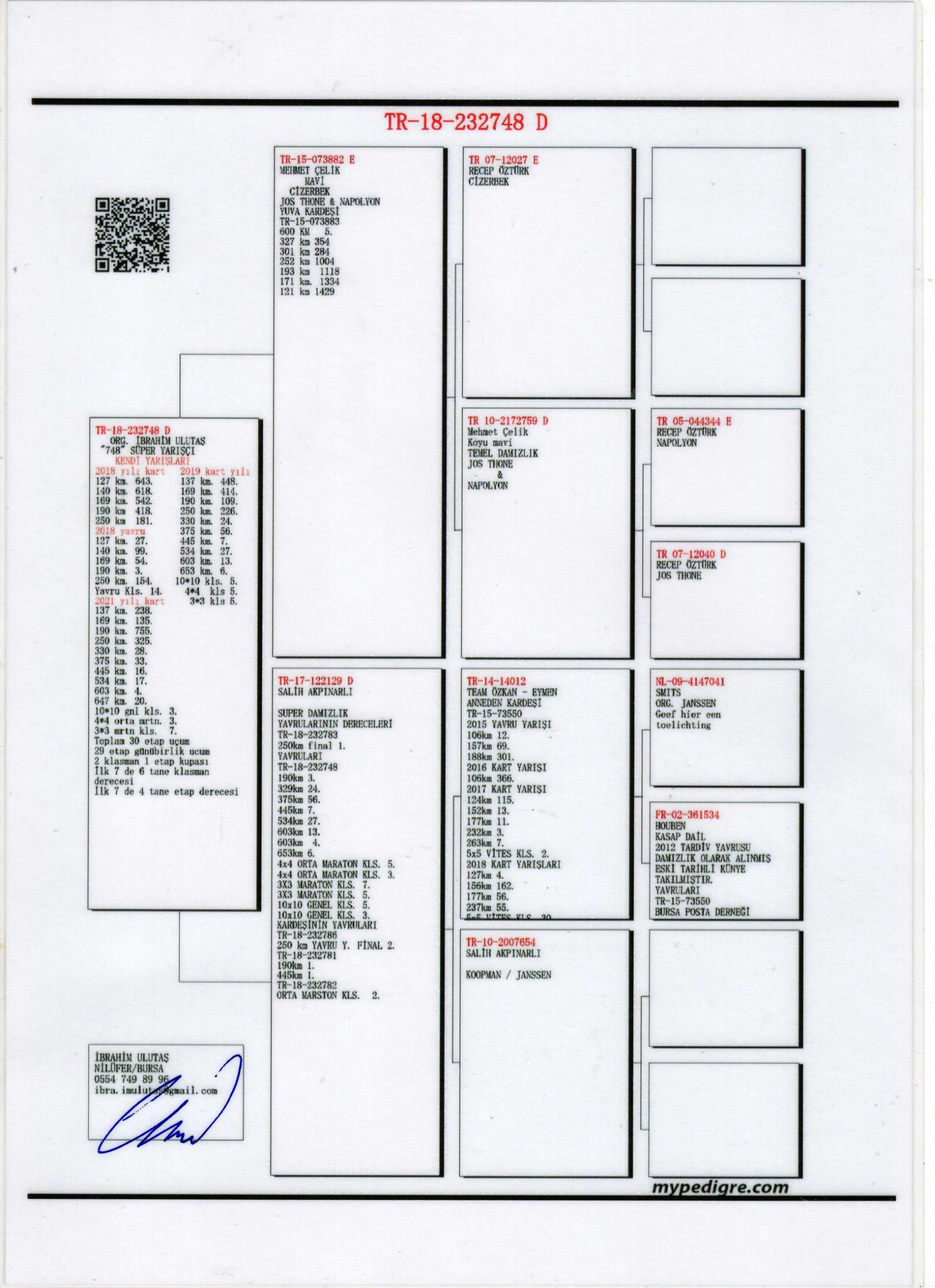 TR18-232748 DİŞİ / KENDİSİ SÜPER YARIŞCI 