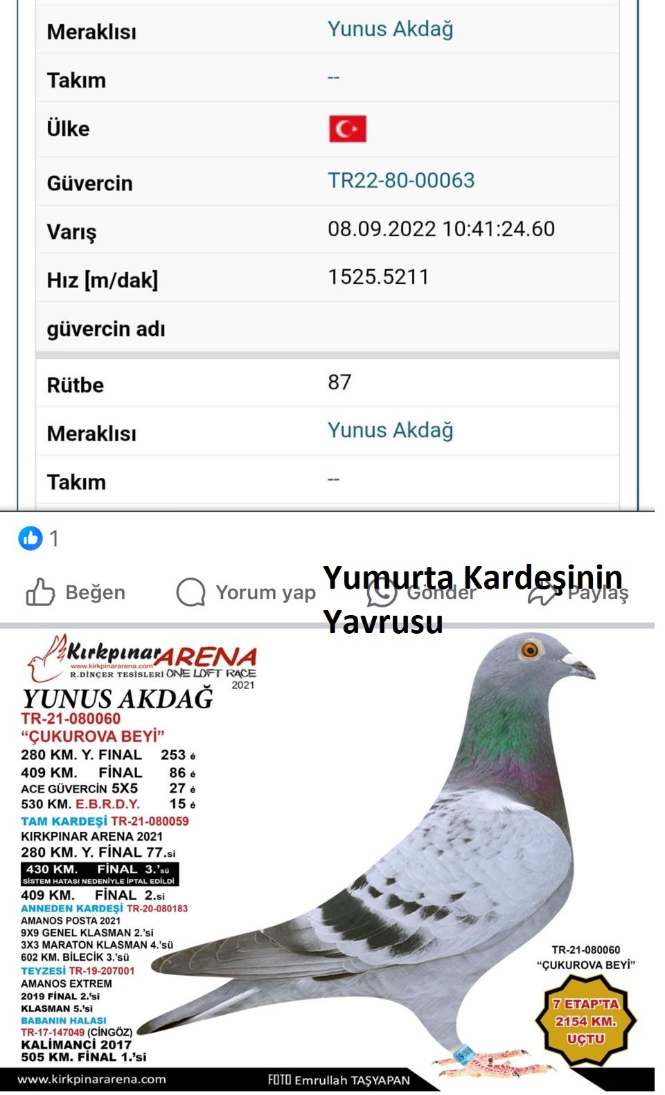 TR19-207001 DIŞI / KENDİSİ AMANOS EXTREM OLR  - 2 500 KM - 5 AS PIGEON 