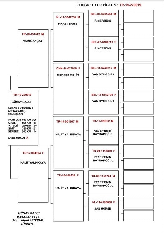 TR19-220919 DİŞİ /  KENDİSİ YARIŞMIŞTIR. 2. AS KLASMAN OLR KIRPINAR ARENA !!!