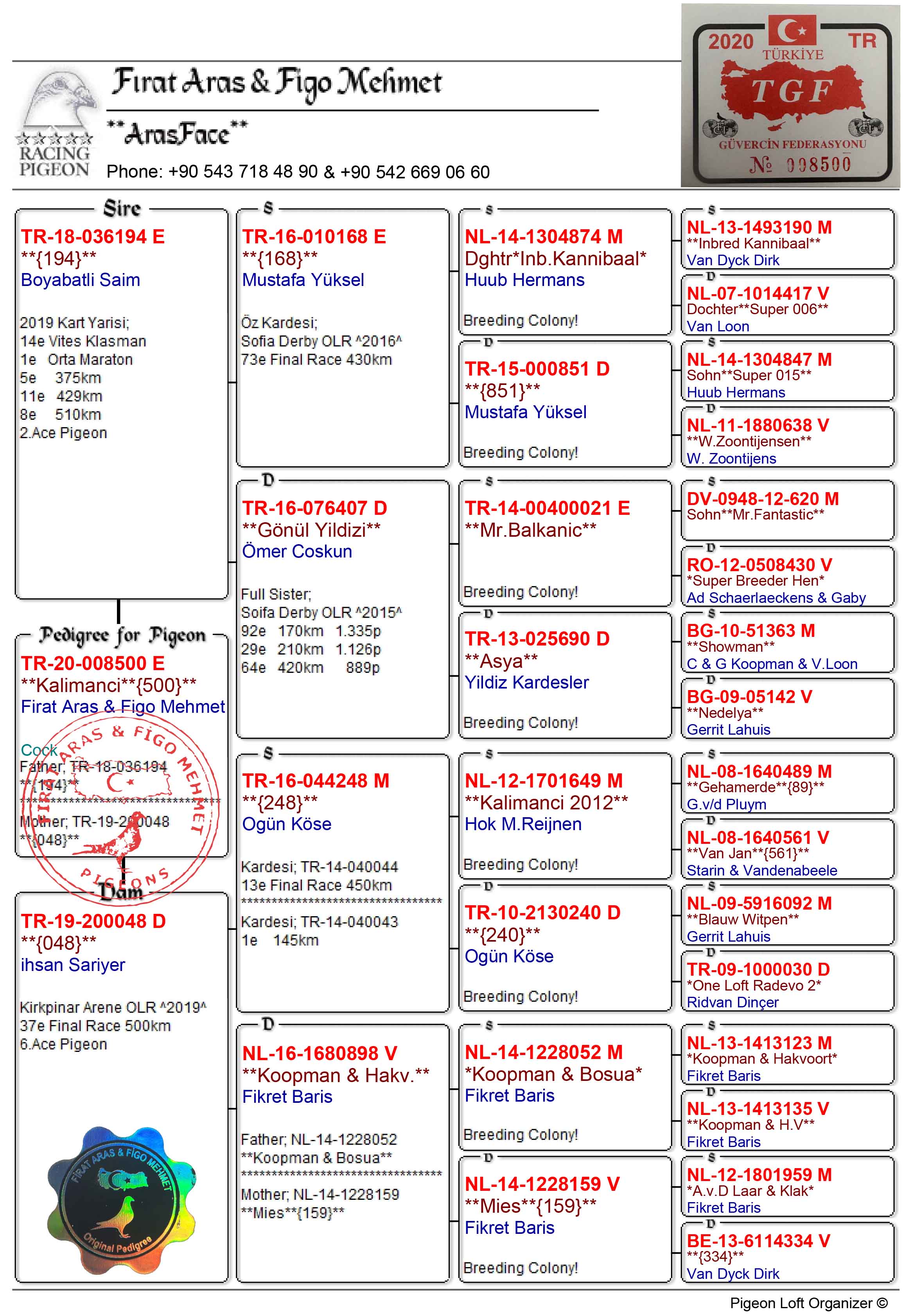 TR20-008500 ERKEK / FIRAT ARAS & FİGO MEHMET BABASI 2. AS ANNESİ 6. AS 