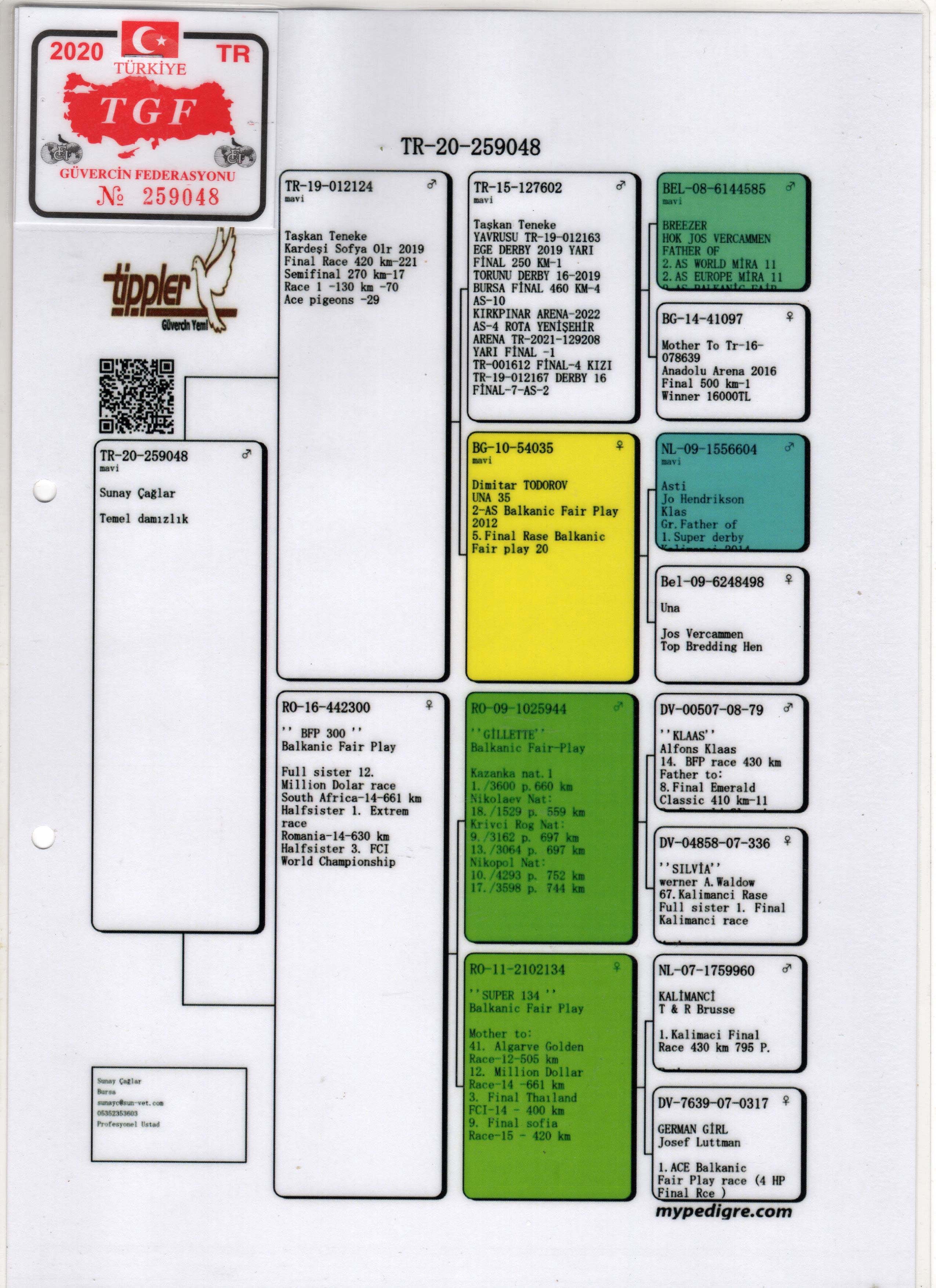 TR20-259048 ERKEK / BABASI TAŞKAN TENEKE ANNESİ GILETTE TORUNU