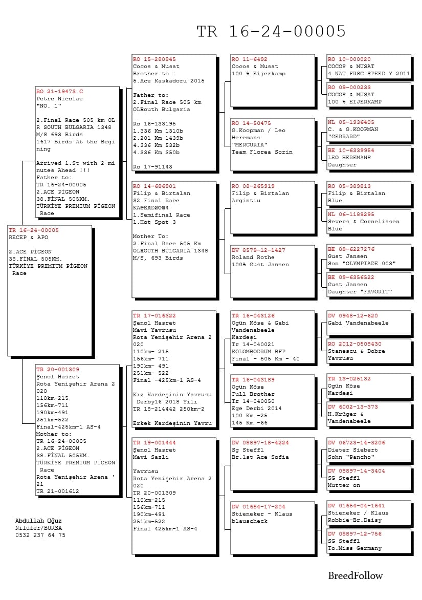 TR21-001058 DİŞİ / KARDEŞİ 4. FİNAL 425 KM ANNEDEN KARDEŞİ 2 ACE TÜRKİYE PREMİUM PIGEON 2024 