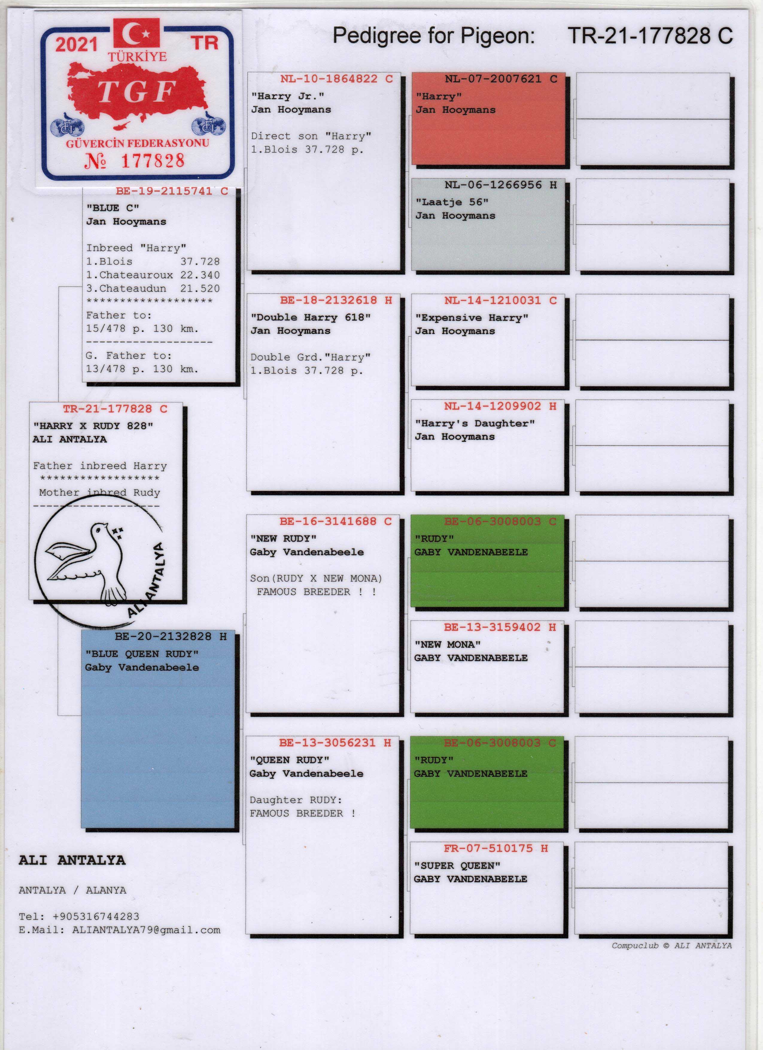 TR21-177828 ERKEK / JAN HOOYMANS X GABY