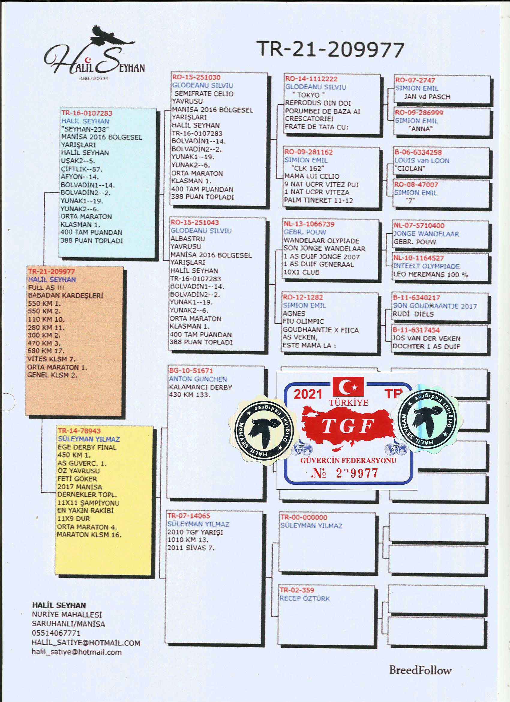 TR21-209977 DİŞİ / BABASI 1. ORTA MARATON  388 PUAN ANNESI 1. FINAL 450 KM & 1. AS EGE DERBY