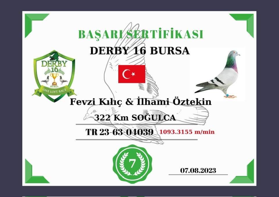 TR22-22-04108 DİŞİ / KENDİSİ YARIŞMIŞTIR . 14. FİNAL 511 KM EDİRNE GOLDEN CUP