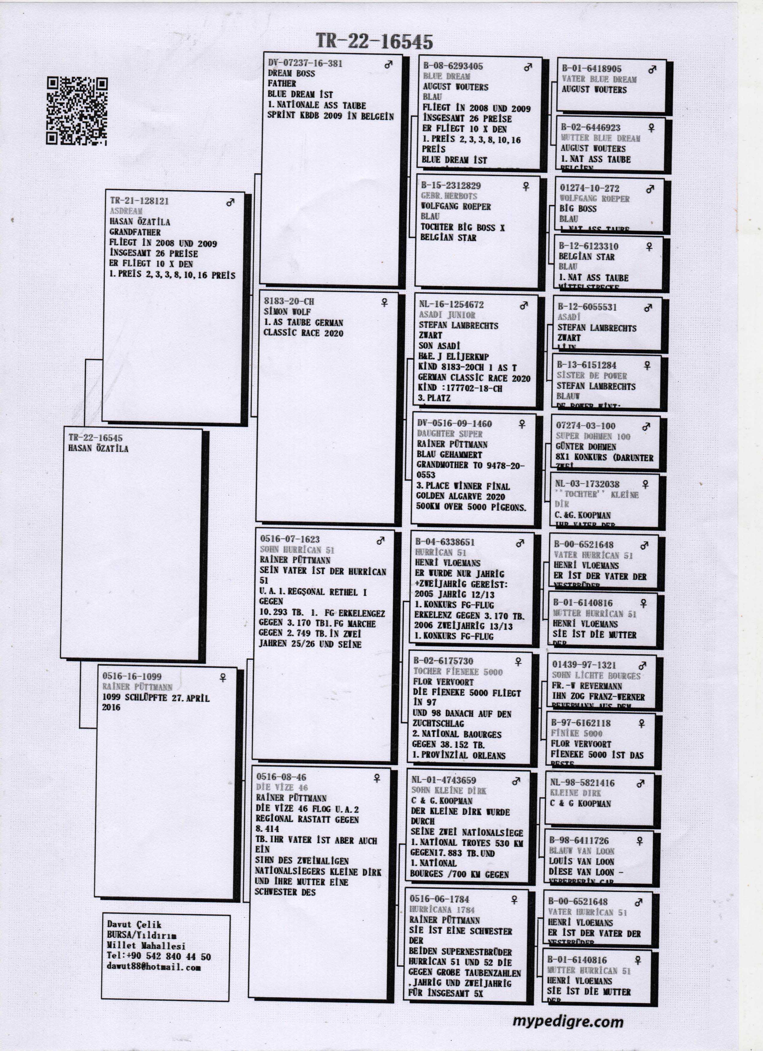 TR22-34-16545 ERKEK / HASAN ÖZATİLLA BABADAN KARDEŞİ 3 FİNAL OLR DUBAİ