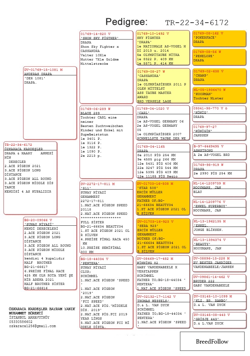 TR22-34-6172 ERKEK / BABASI ANDREAS DRAPA / ANNESİ SUNAY NİYAZİ YARIŞMIŞ