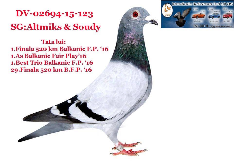 TR22-45-00370 ERKEK / INBREED VICTORIA 1. FİNAL & 1 AS GÜVERCİN BALKANİC FAİR PLAY