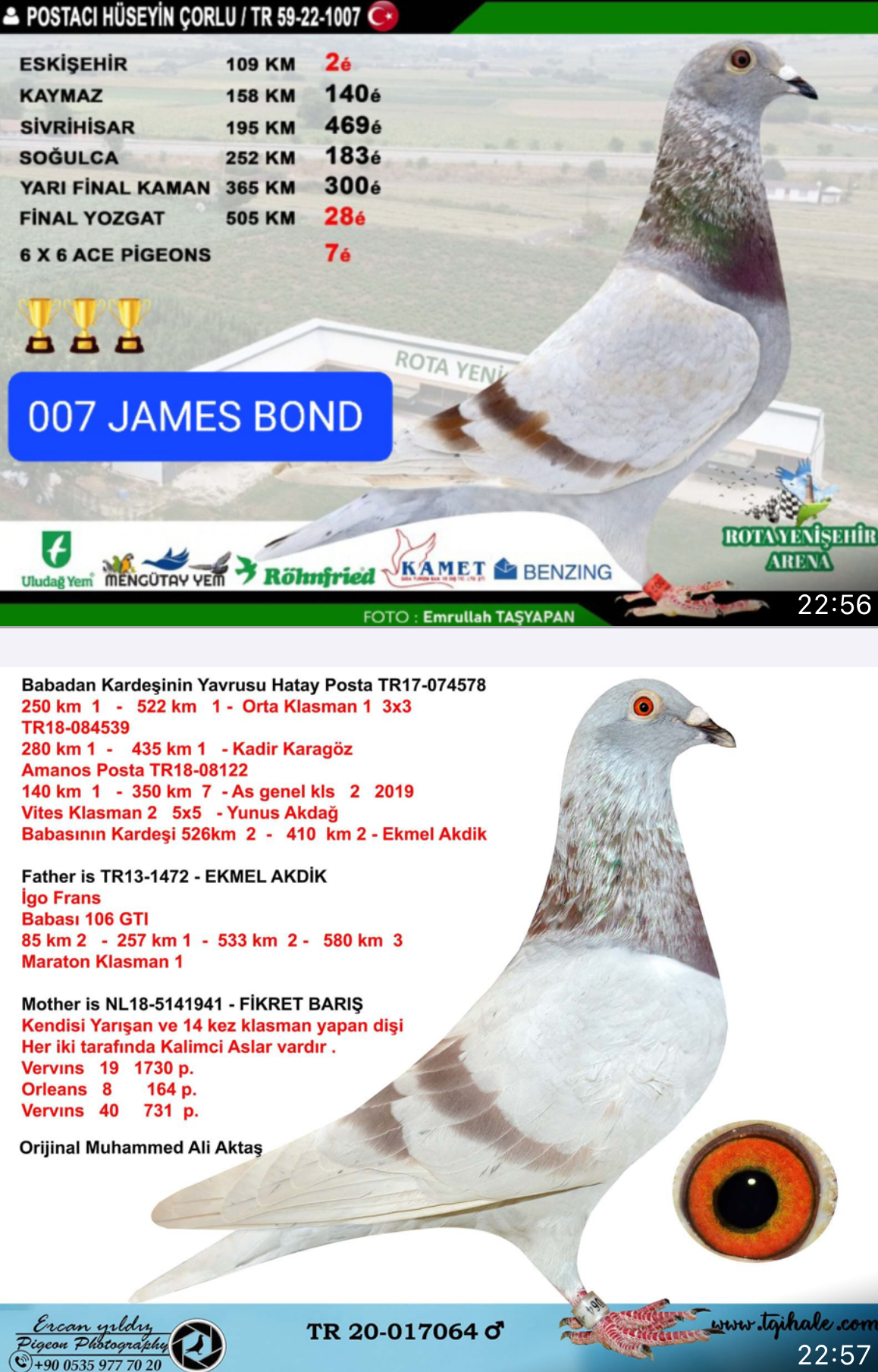 TR22-59-1071 ERKEK / TAM KARDEŞİ 3 KUPALI JAMES BOND