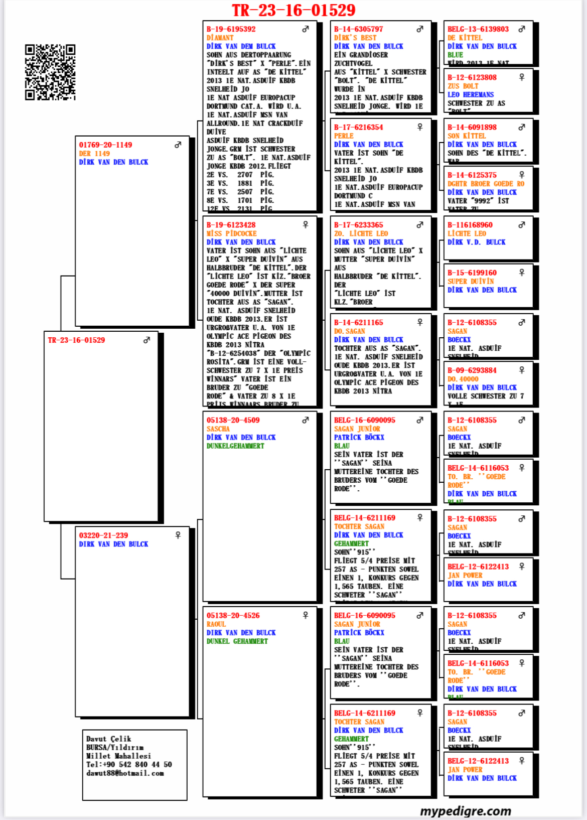 TR23-16-01529 ERKEK / DİRK VAN DE BLUCK % 100