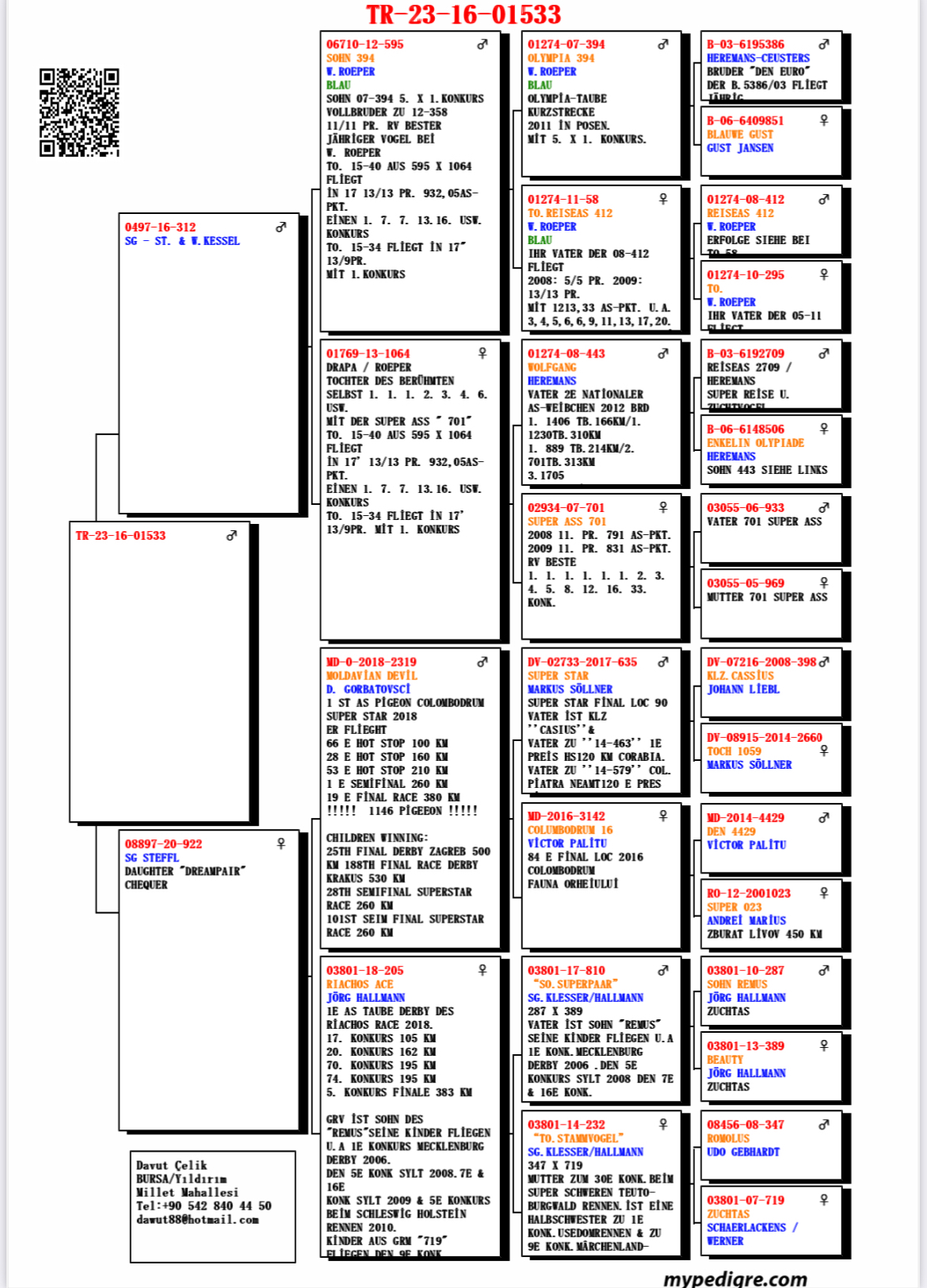 TR23-16-01533 ERKEK / ANNESİ SG STEFFL DREAM COUPLE