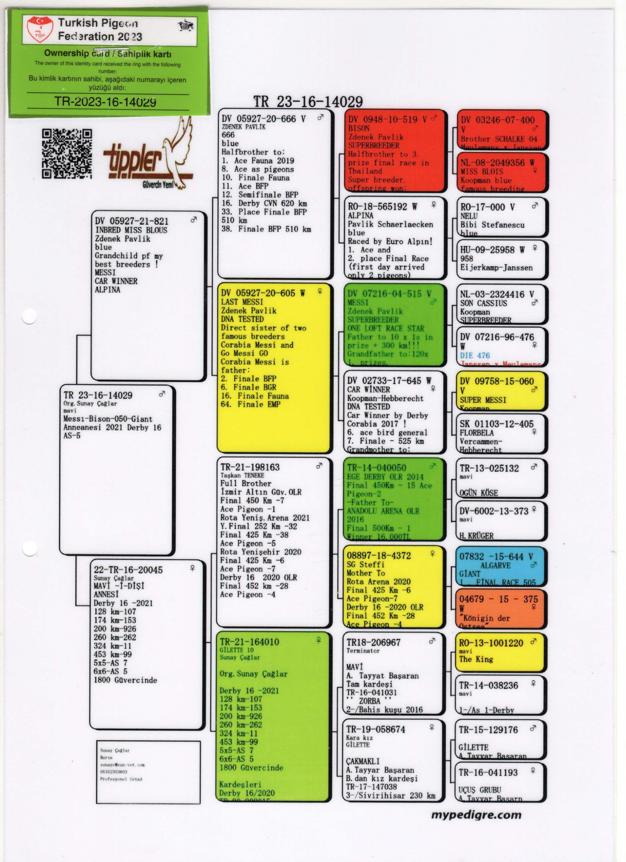 TR23-16-14029 ERKEK / BABASI MESSI TORUNU ANNESİ 050 X STEFFL TAKIM TORUNU